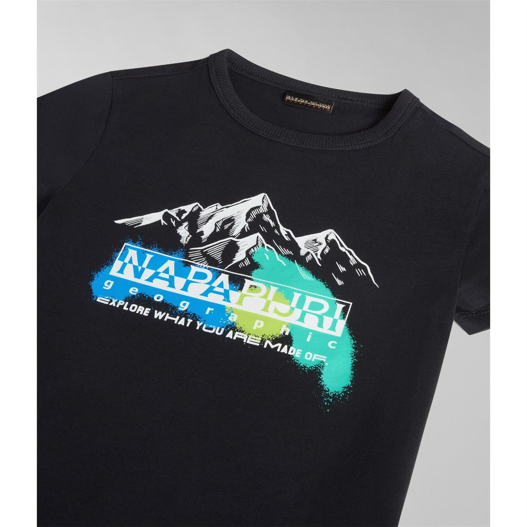 Napapijri Liard Geographic Print Crew Neck T-Shirt