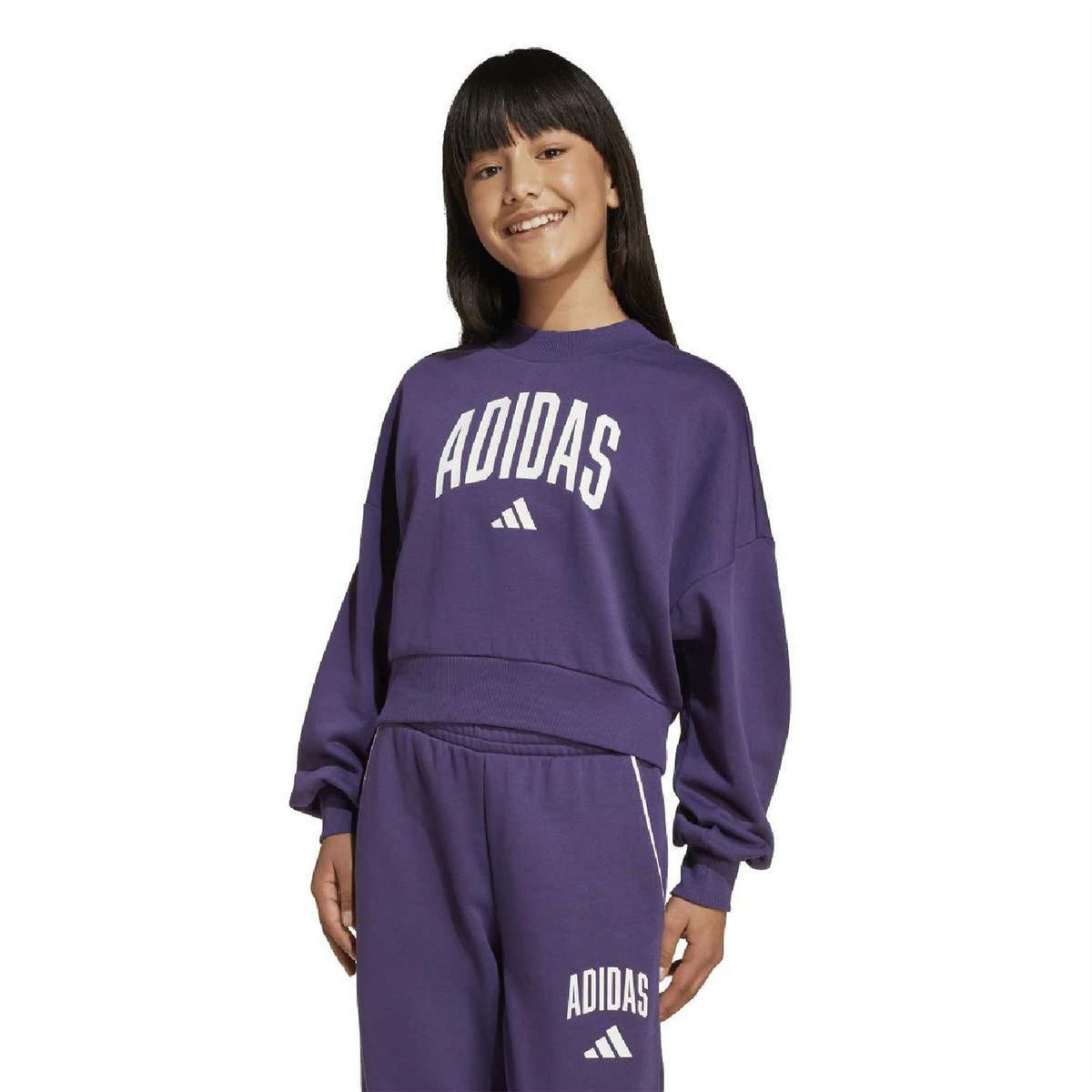 adidas Seasonal Essentials Sweatshirt