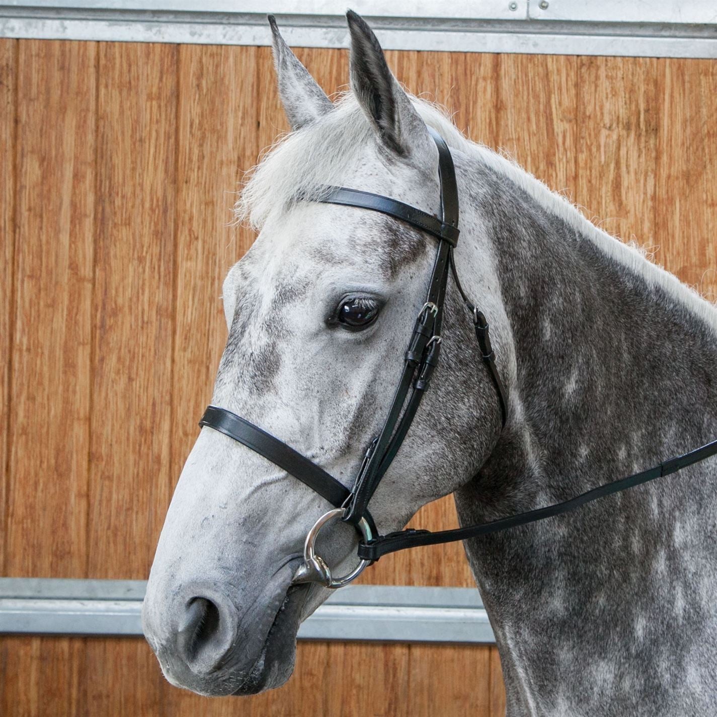 Requisite Snaffle Bridle With Reins
