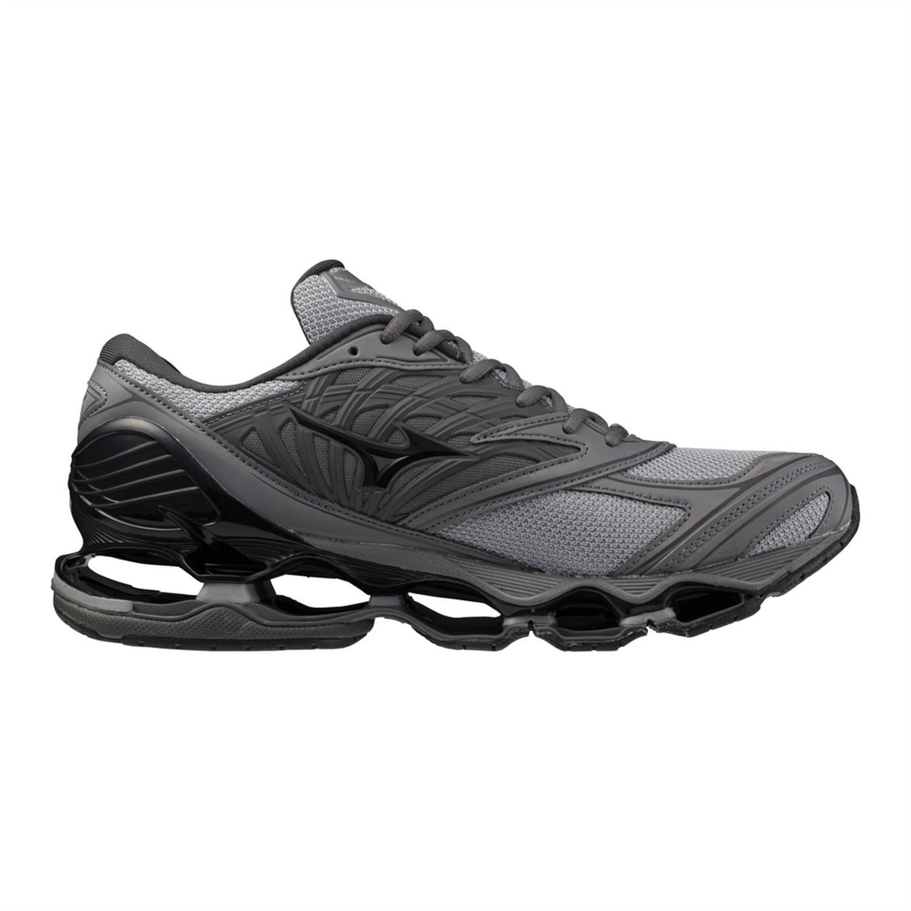 Mizuno Wave Prophecy