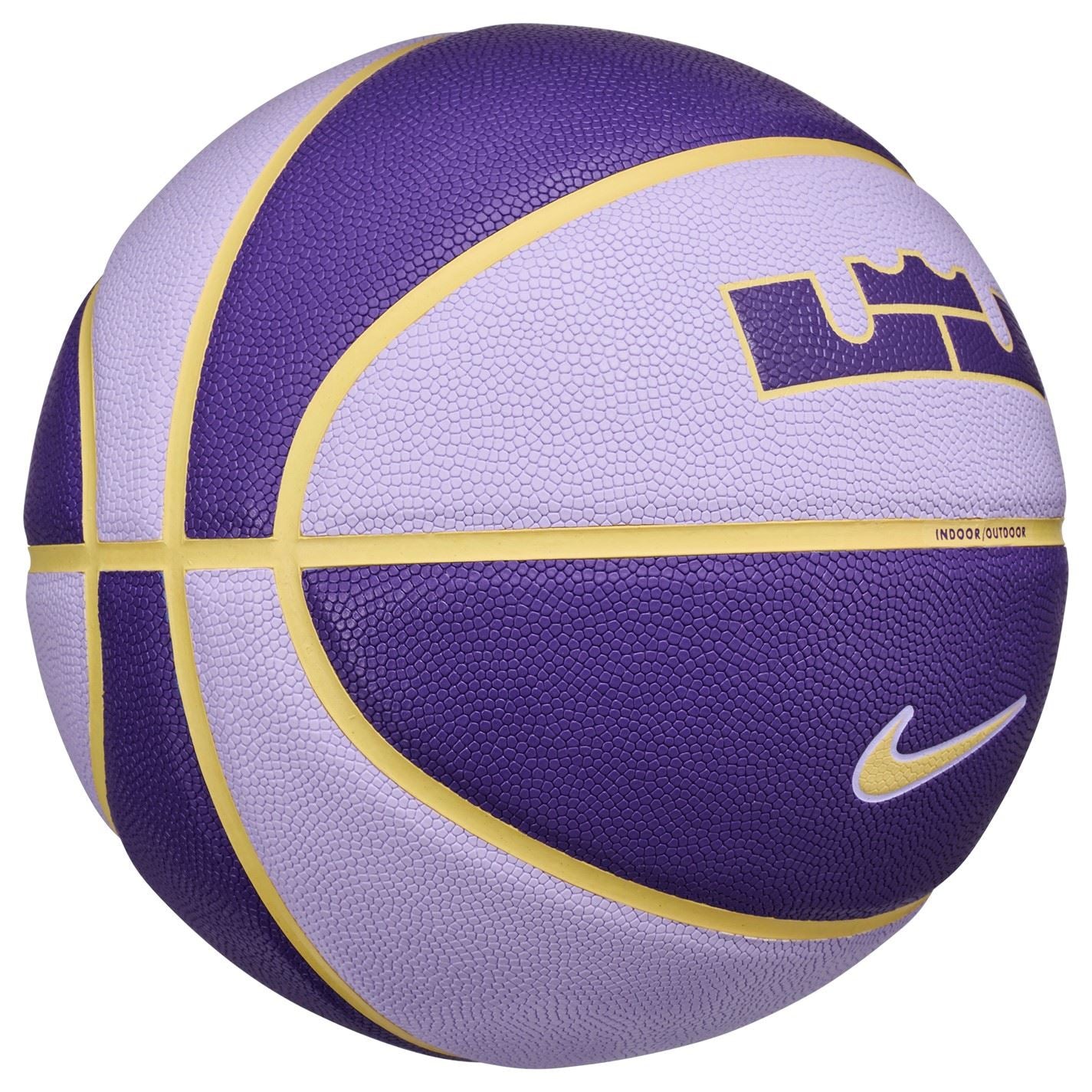 Nike Lebron All Court Basketball