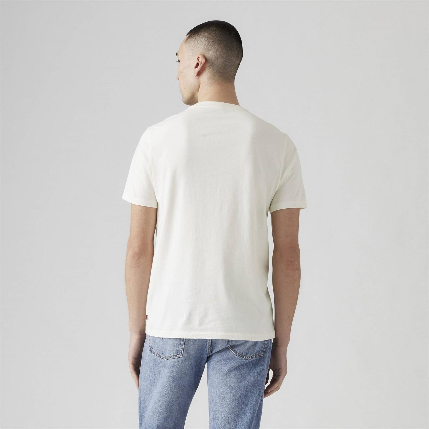 Levis Graphic Crewneck Regular Fit T-Shirt