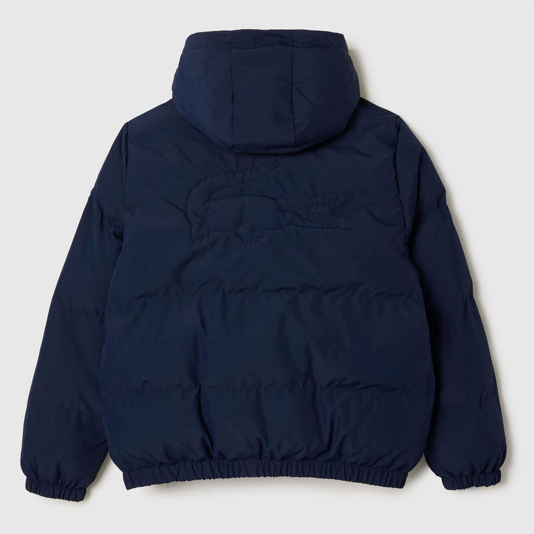 Lacoste Jacket