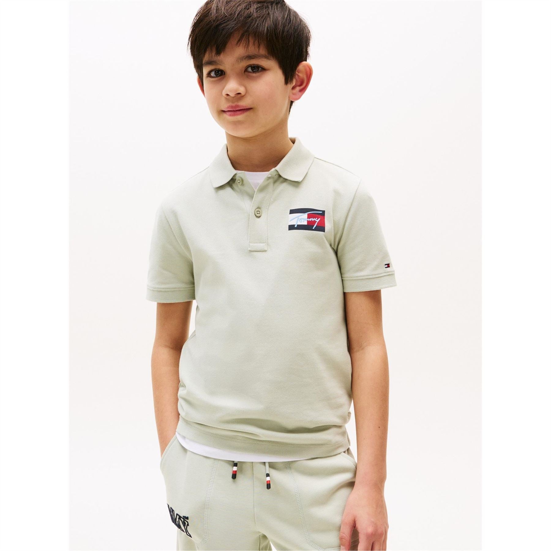 Tommy Hilfiger Script Flag Regular Fit Polo
