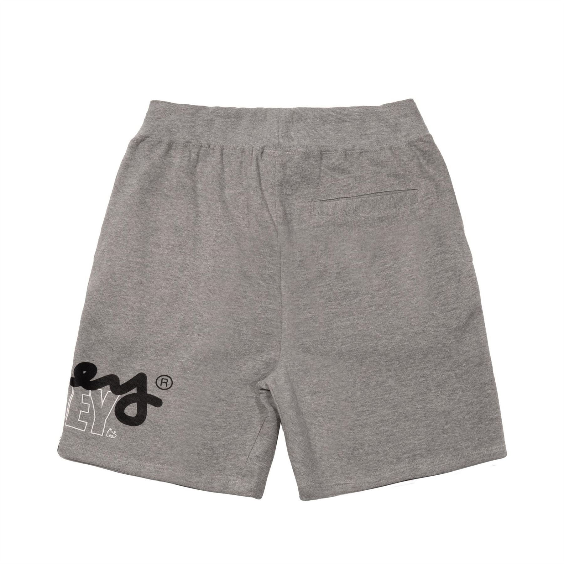 Money Stencil Shorts