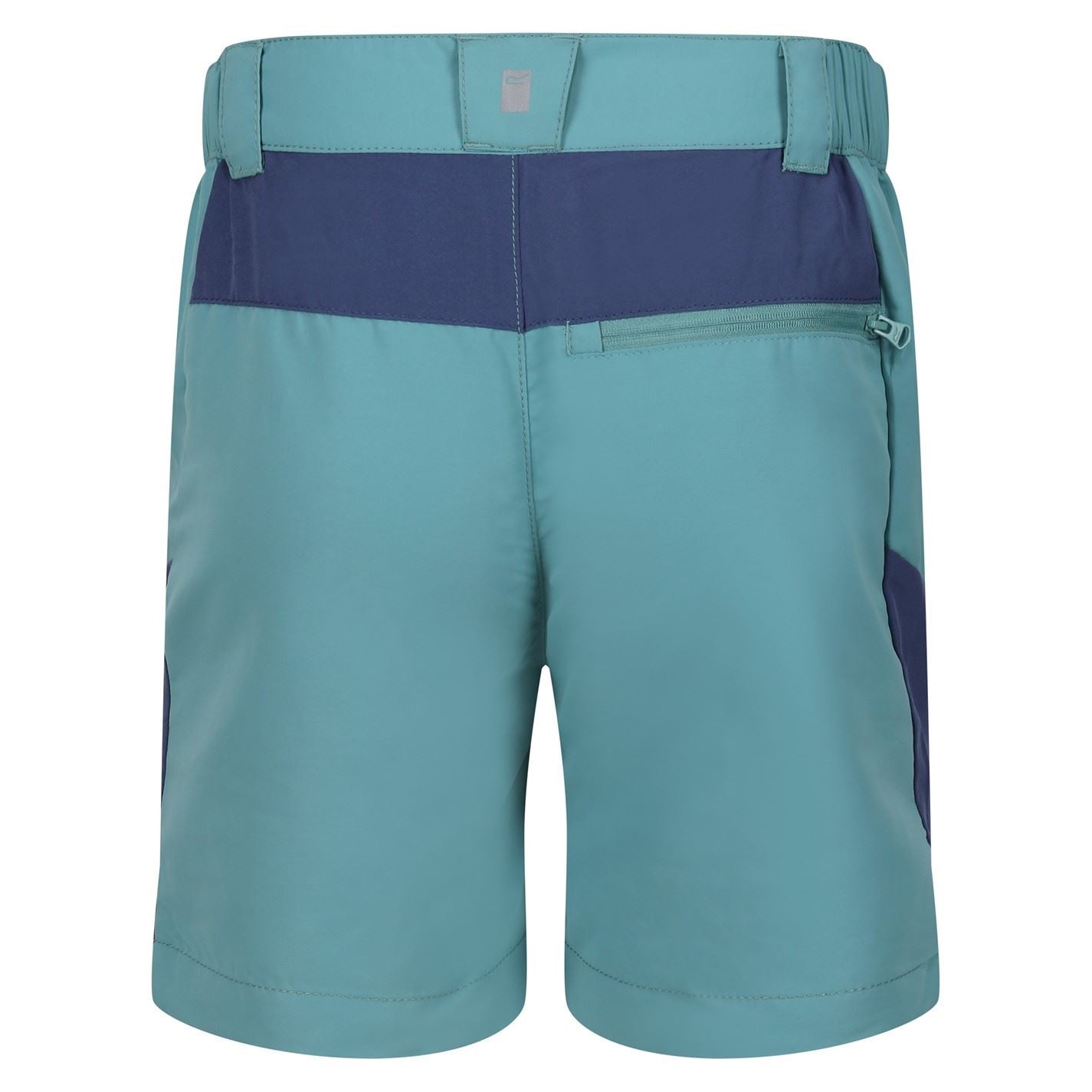 Regatta Walking Shorts