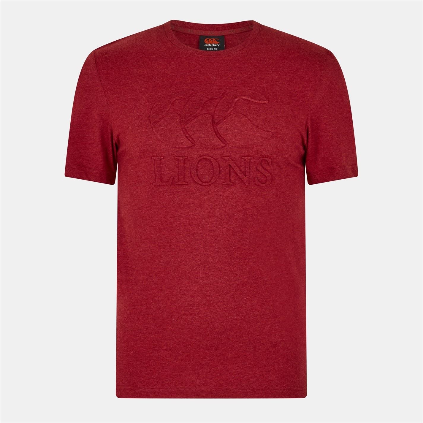 Canterbury British  And  Irish Lions Monument T-Shirt 2025 Adults