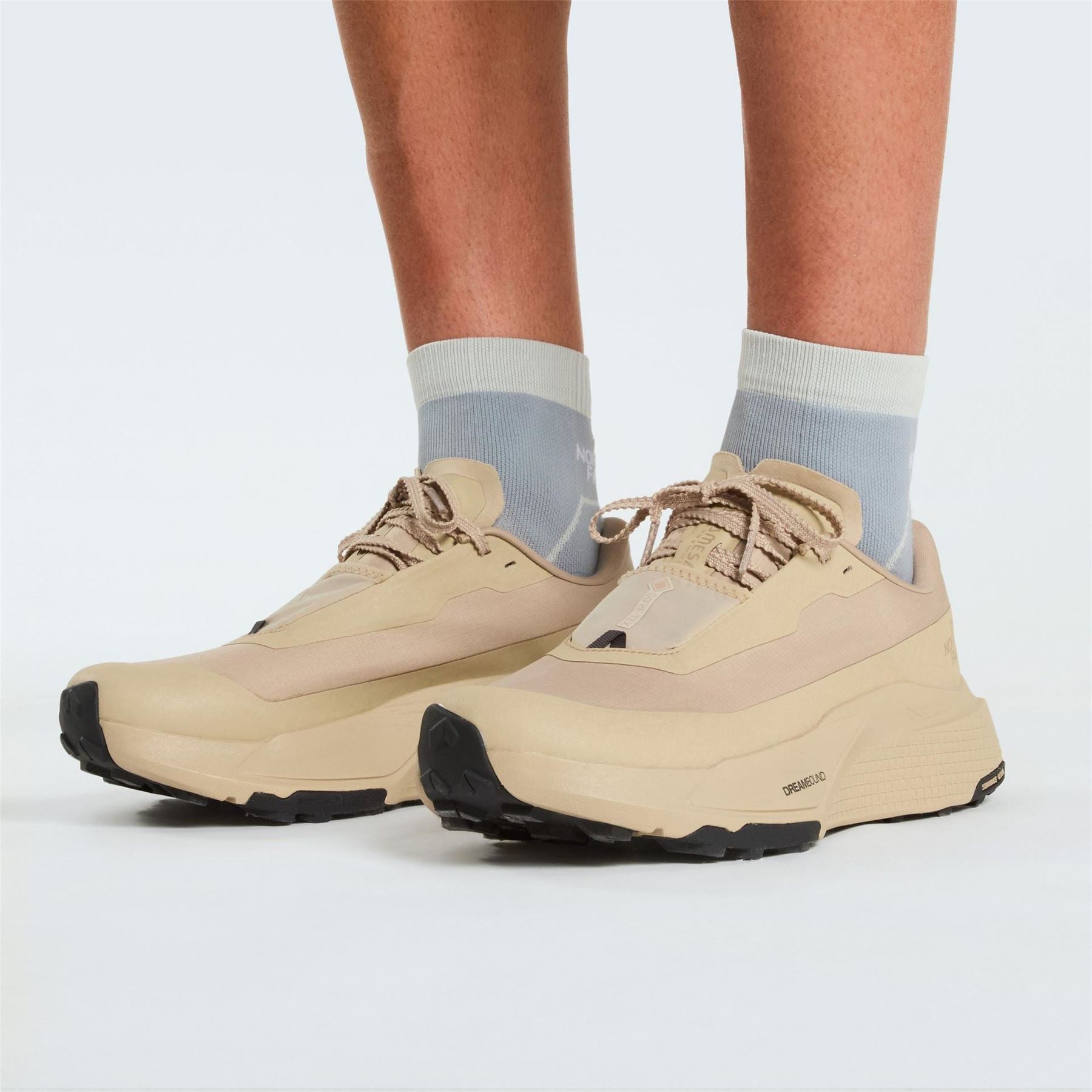 The North Face Altamesa 500 V2 GorE-Tex Trail Running Shoes