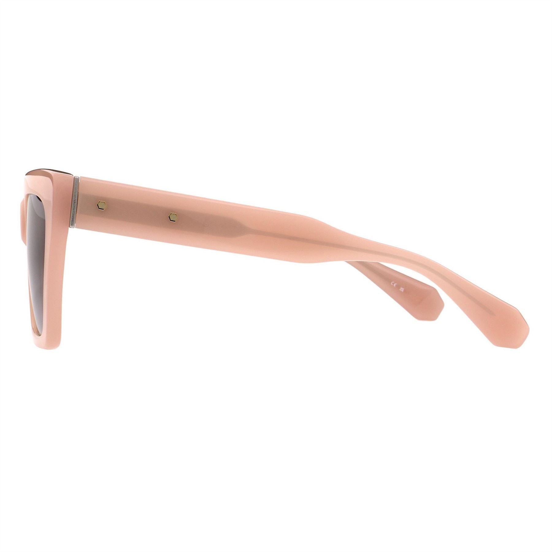 AllSaints Minerva Cat Eye Full Rim Sunglasses
