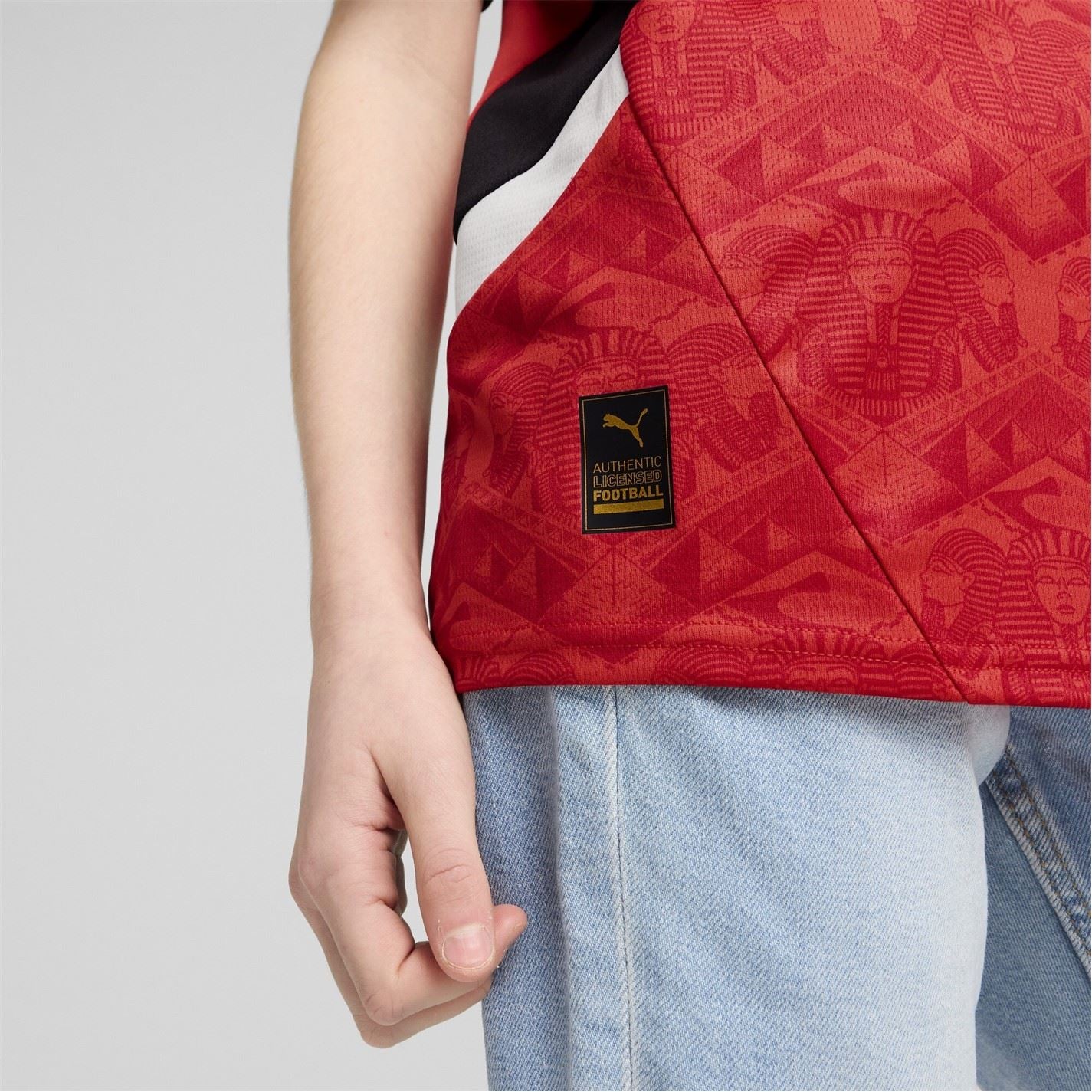 Puma Egypt Home Shirt 2025 Juniors