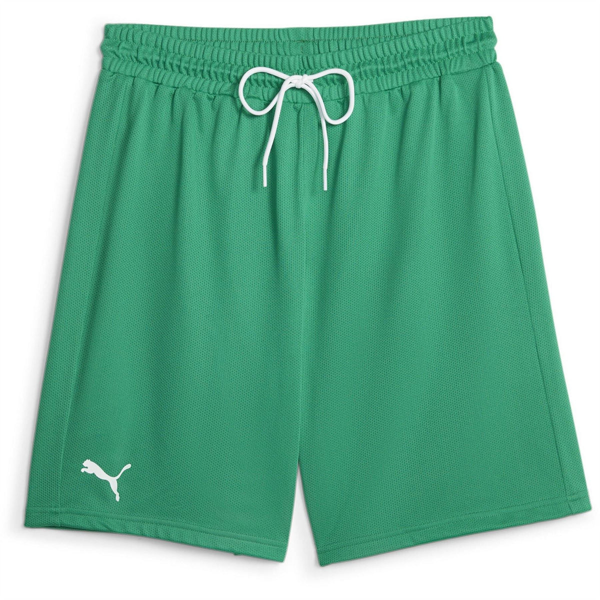 Puma Hoops Team Practice Basketball Shorts