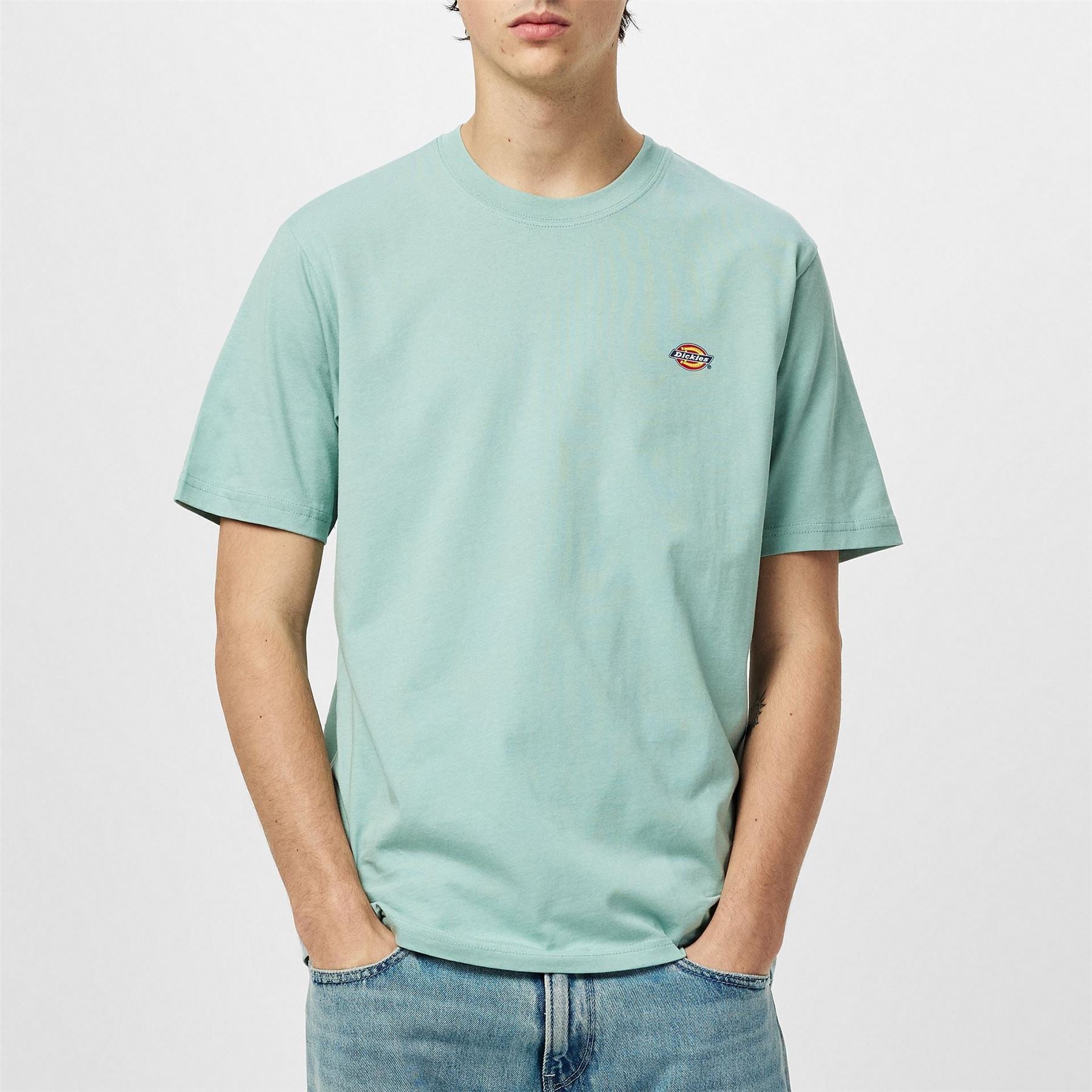 Dickies Regular Fit Mapleton T-Shirt