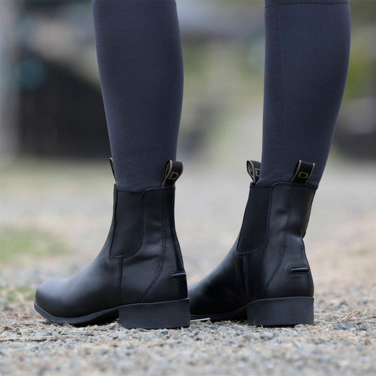 Dublin Foundation Jodhpur Boots ii