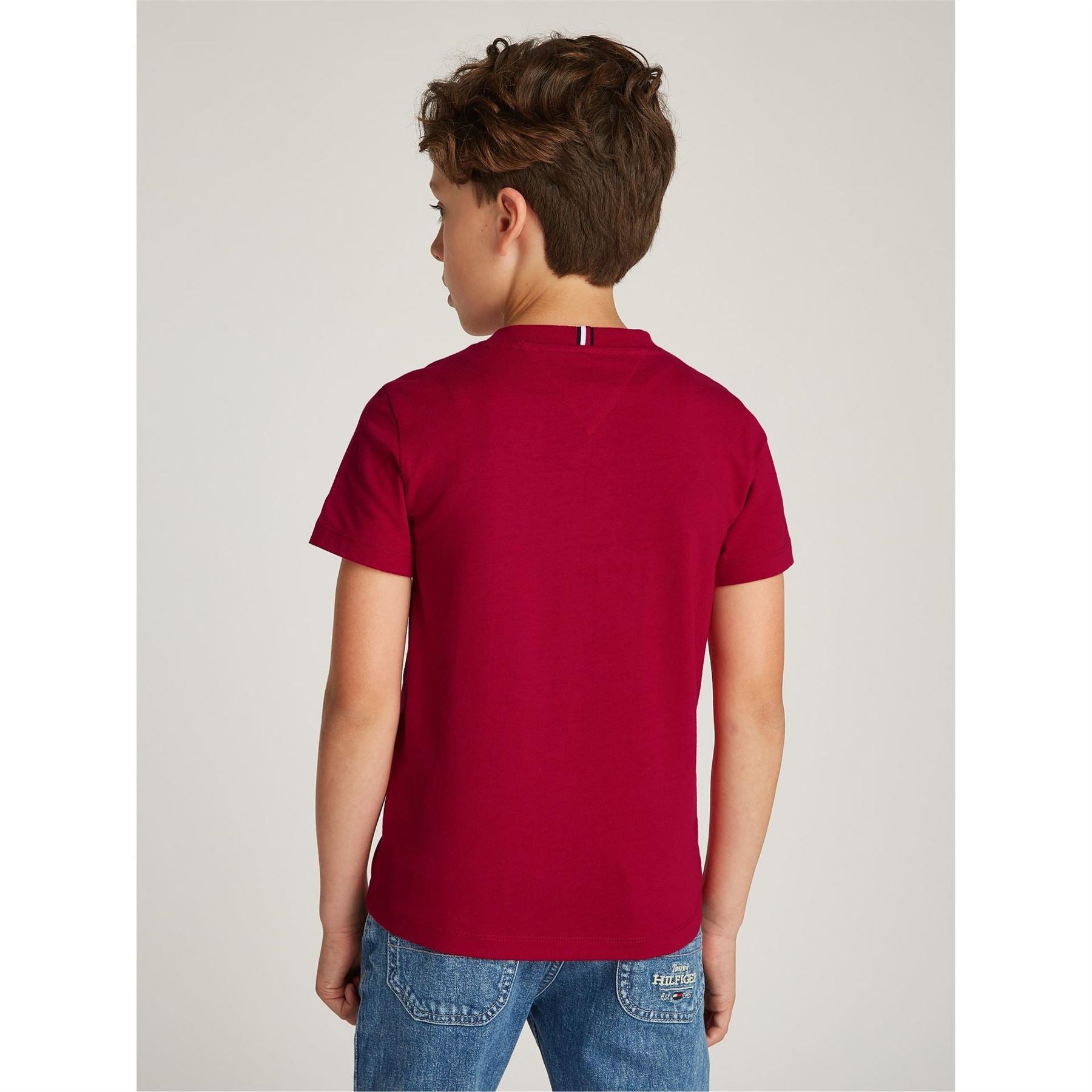 Tommy Hilfiger Regular Fit Crew Neck Short Sleeve T-Shirt