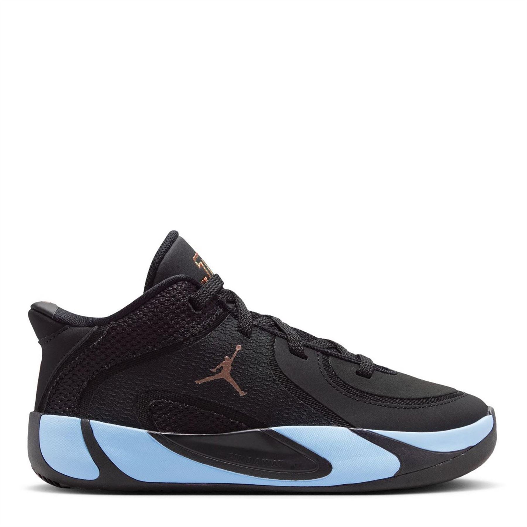 Air Jordan Basketball Trainers