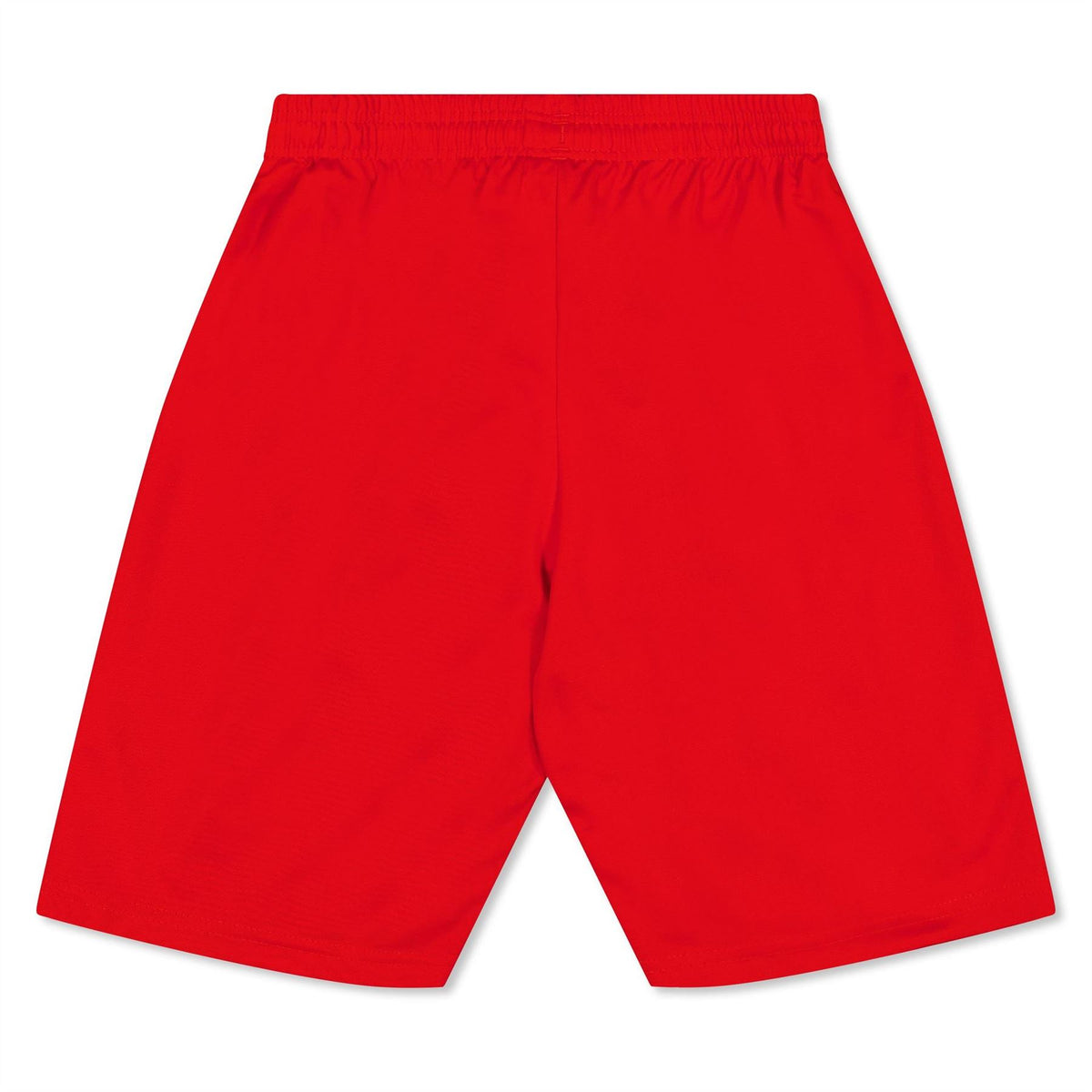 Puma Fb Team Shorts With Brief Juniors
