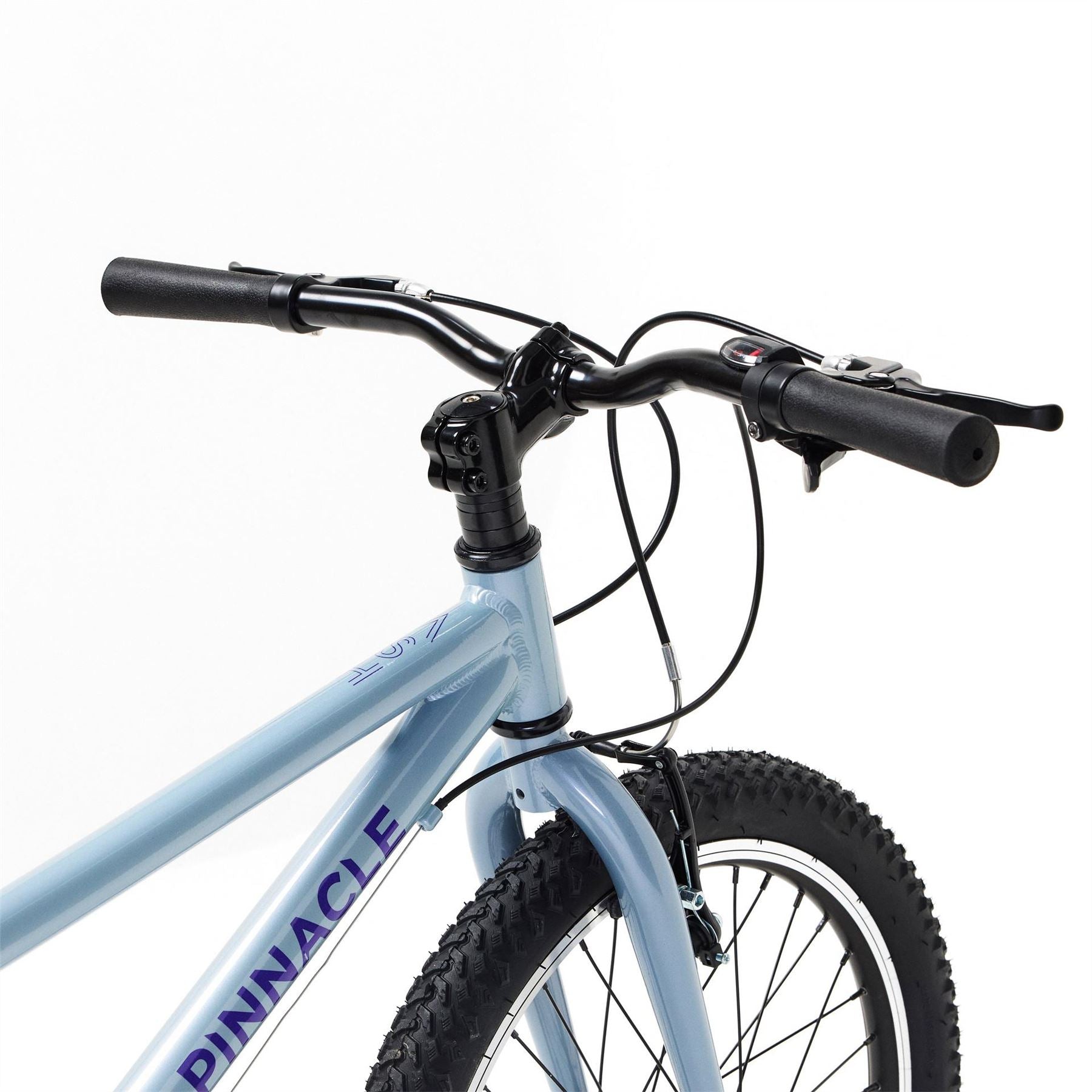 Pinnacle Ash 20 Inch Kids Bike
