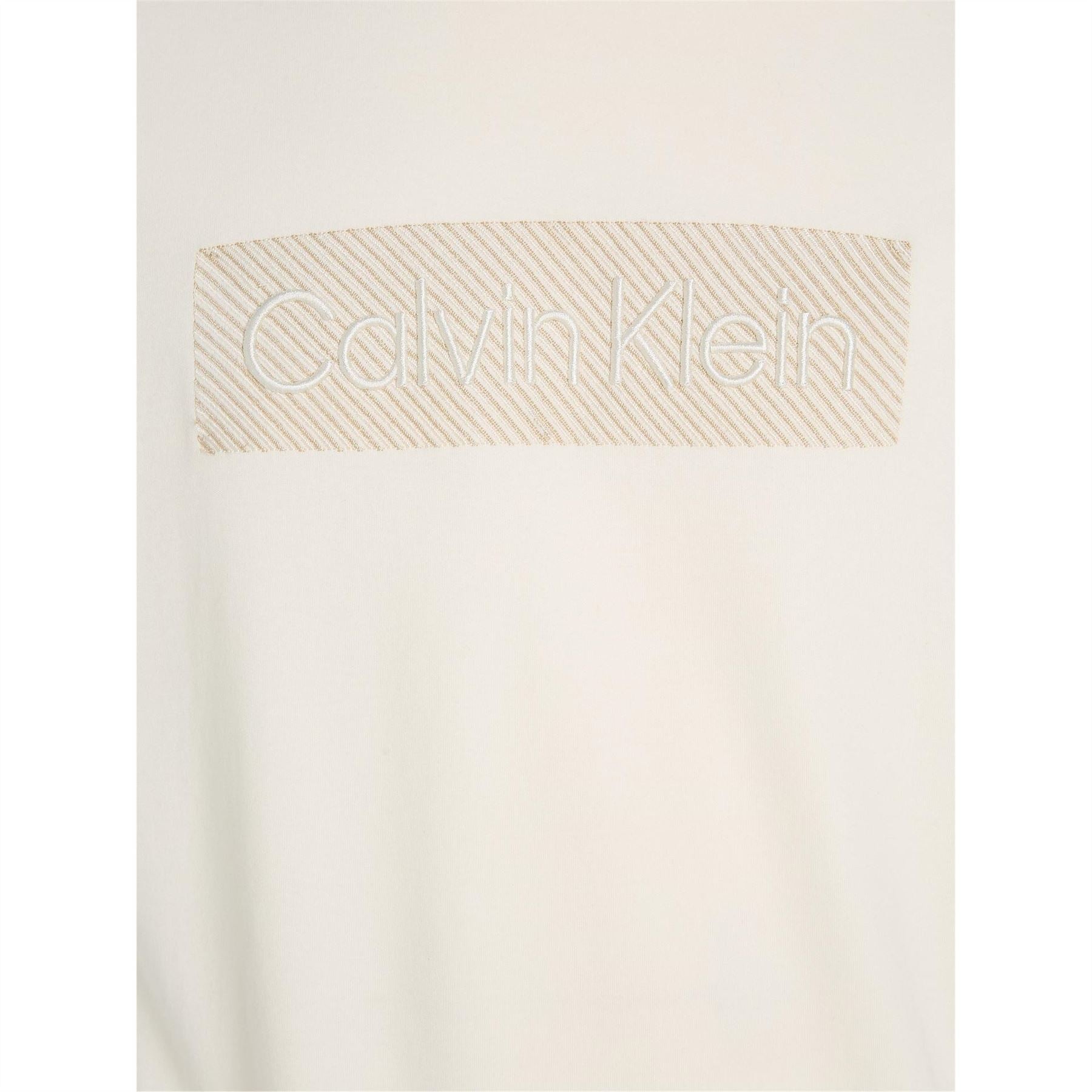 Calvin Klein Logo Embroidered Regular Fit T-Shirt