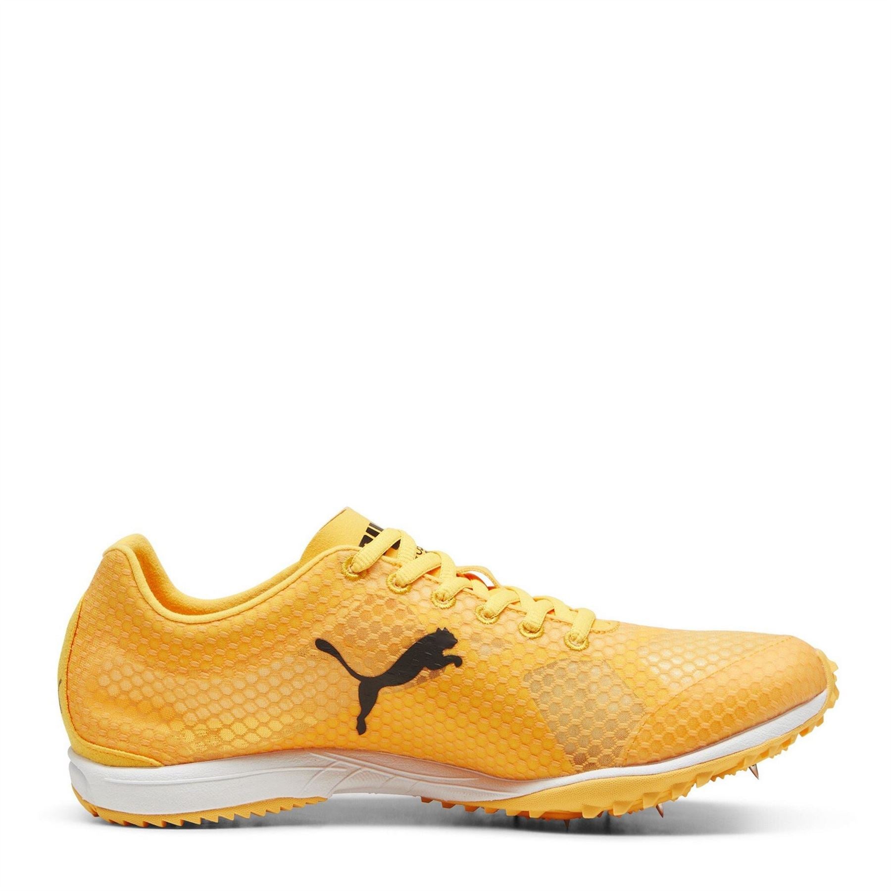 Puma Evospeed Haraka 8 Track Running Spikes
