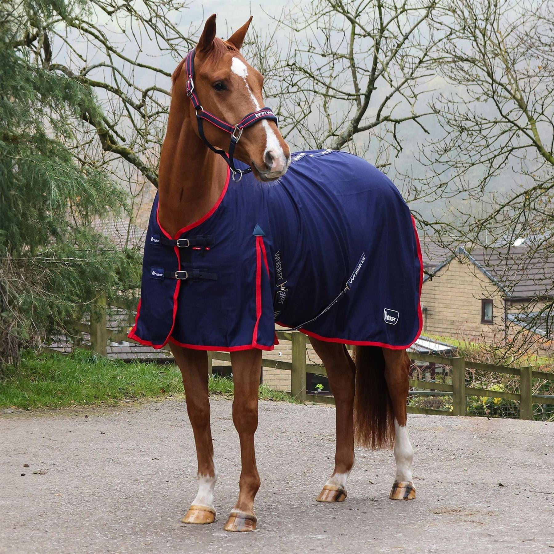 John Whitaker Whitaker Rastrick Multipurpose Horse Rug