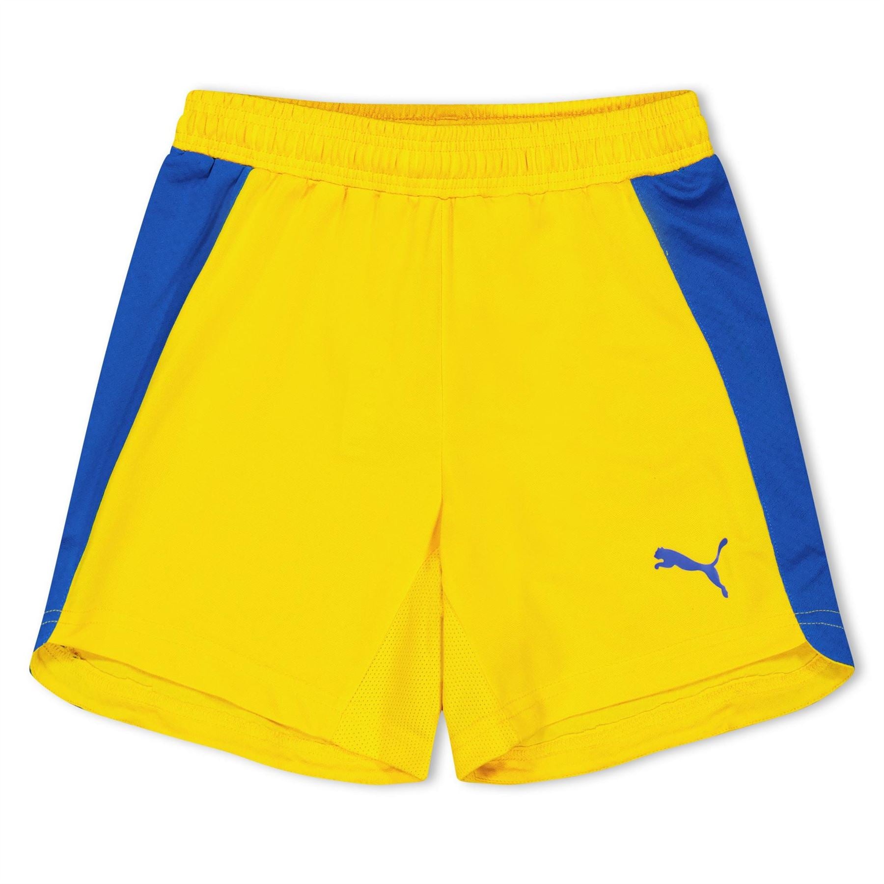 Puma (fb) Evospeed Indoor Shorts Juniors