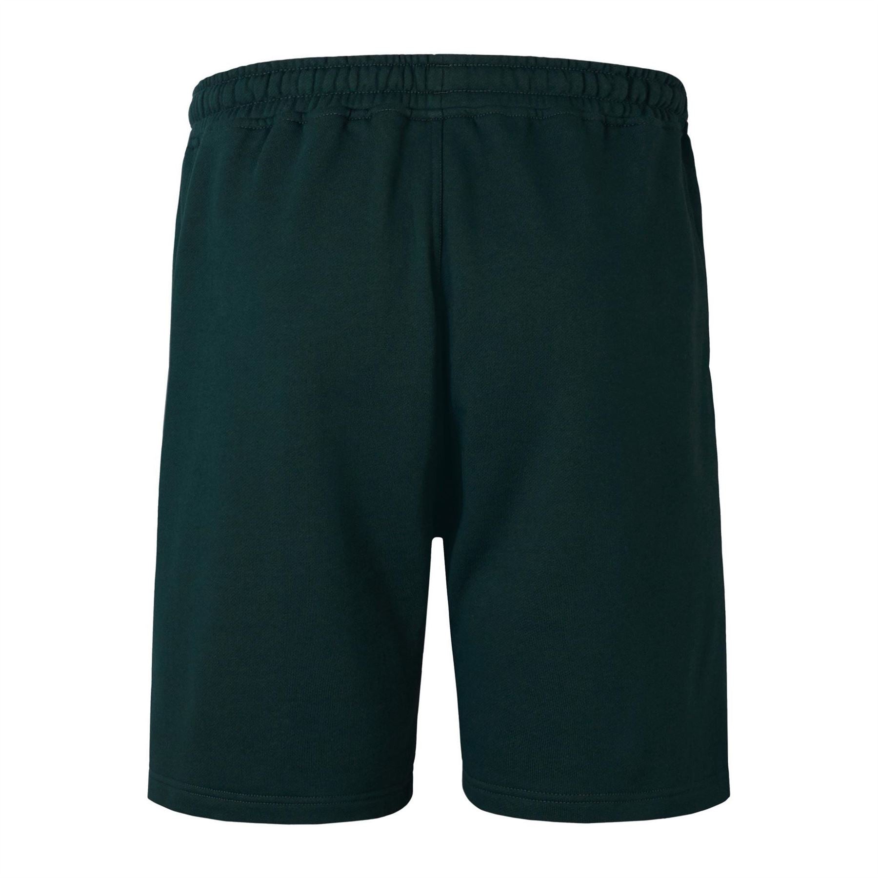 Canterbury Mens And  Irish Lions Stealth Shorts 2025