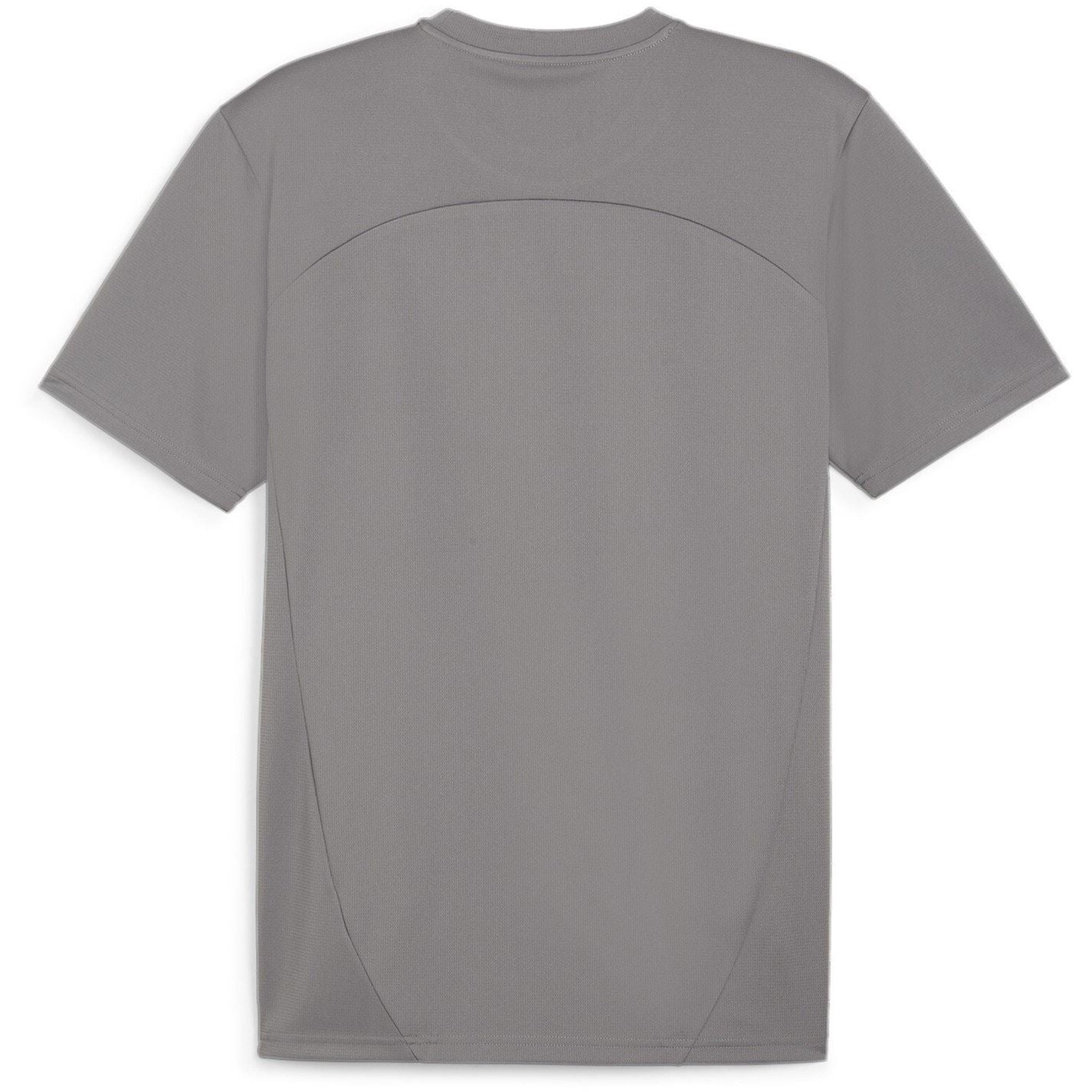 Puma Teamfinal Training Short Sleeve Performance T-Shirt