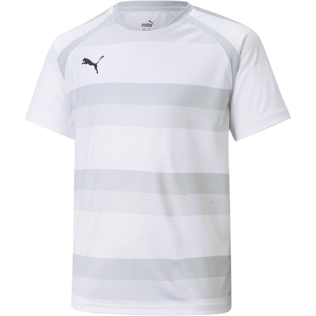 Puma Teamvision Jersey Jr T-Shirt Unisex Kids