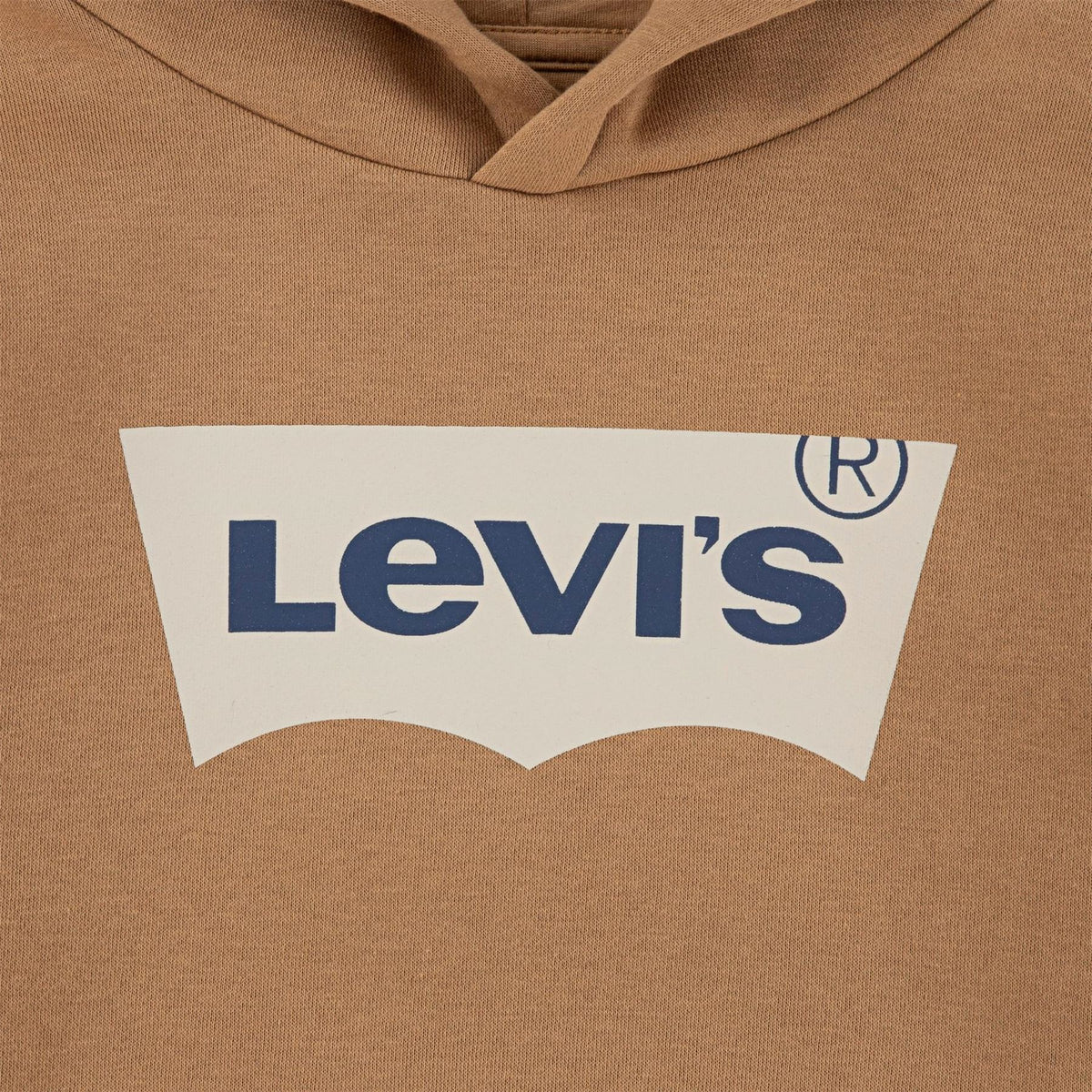 Levis Batwing Over The Head Hoodie