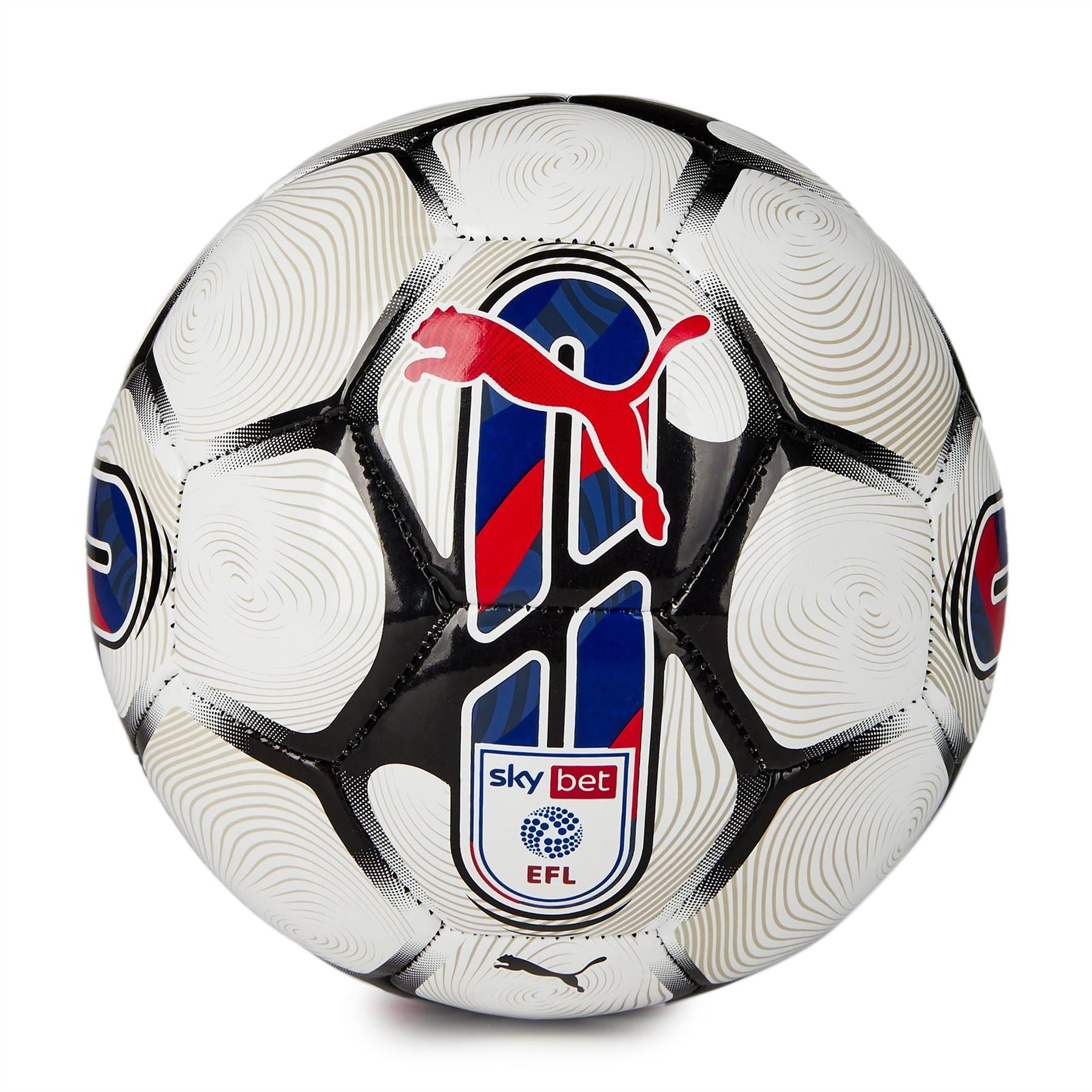 Puma Orbita 6 EFL Football 2023/2024