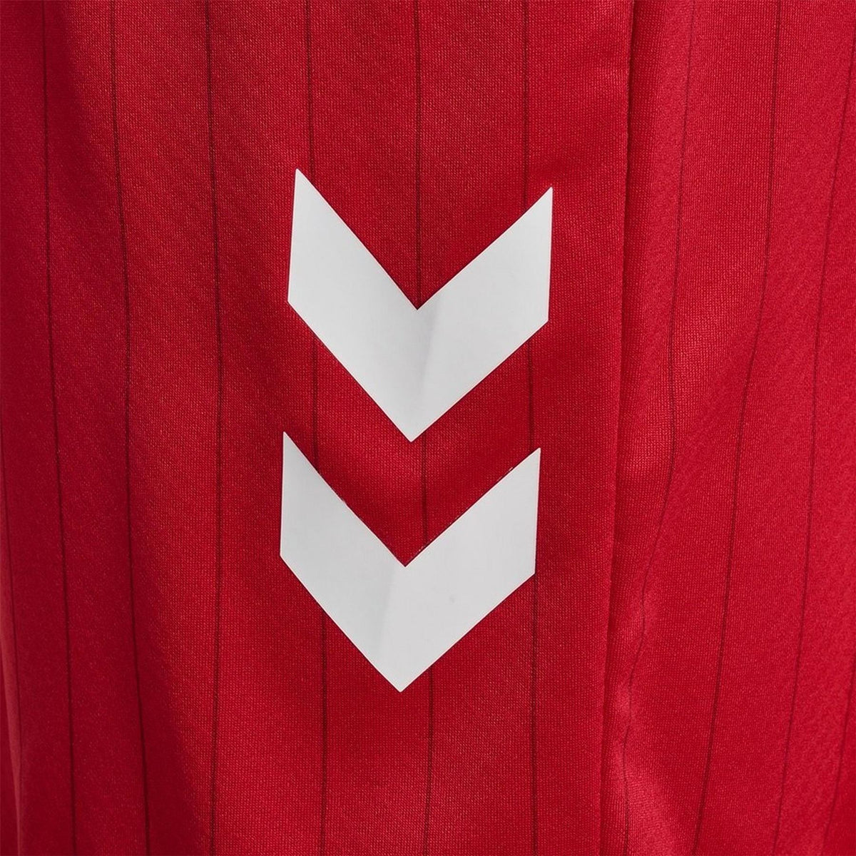 Hummel Denmark International Football Shorts