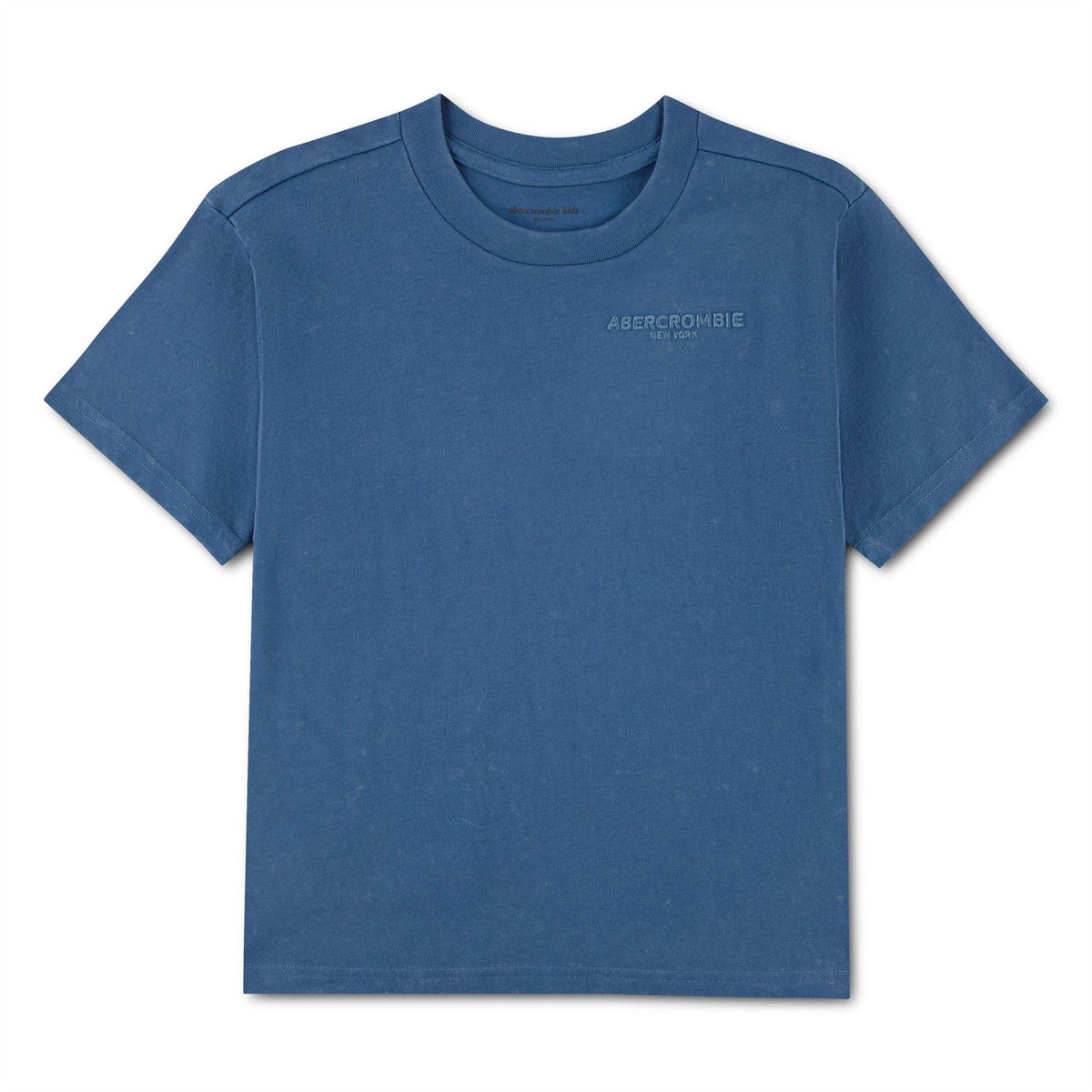 Abercrombie and Fitch T-Shirt