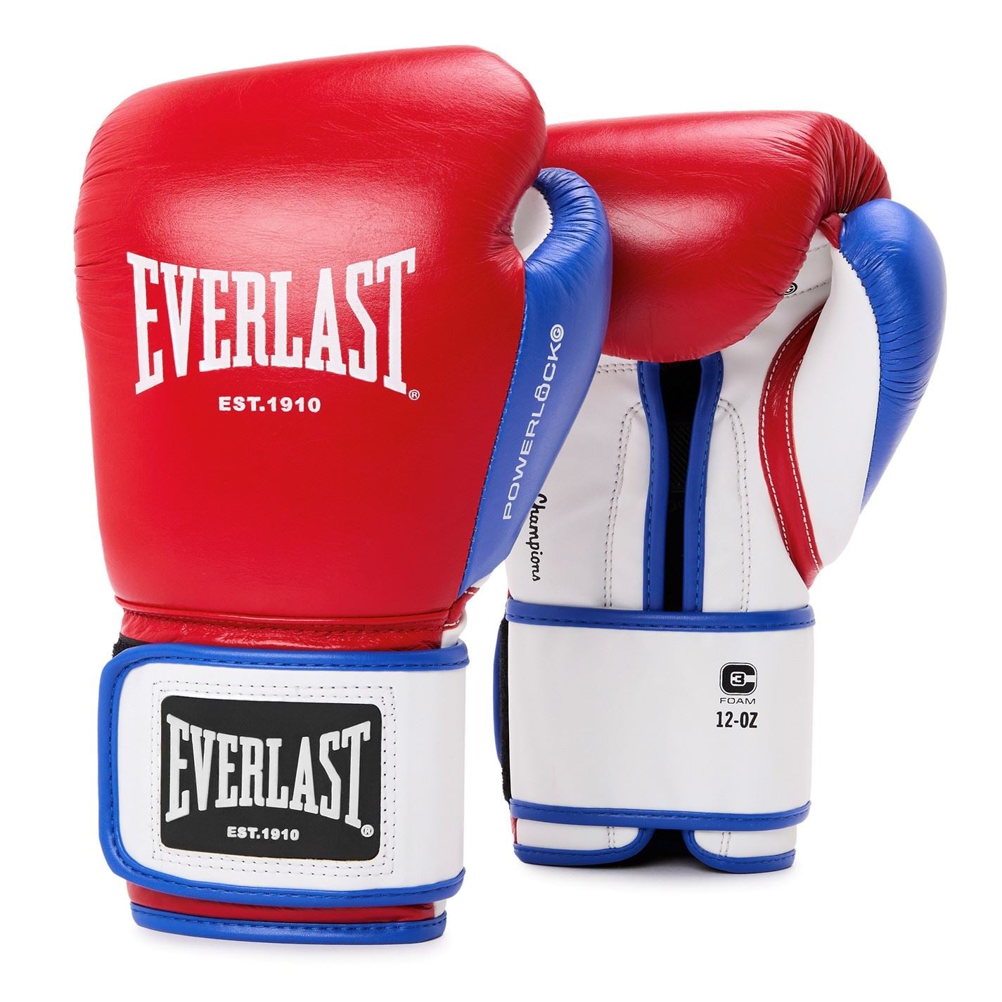 Everlast Powerlock Og Advanced Training Glove Hook  And  Loop