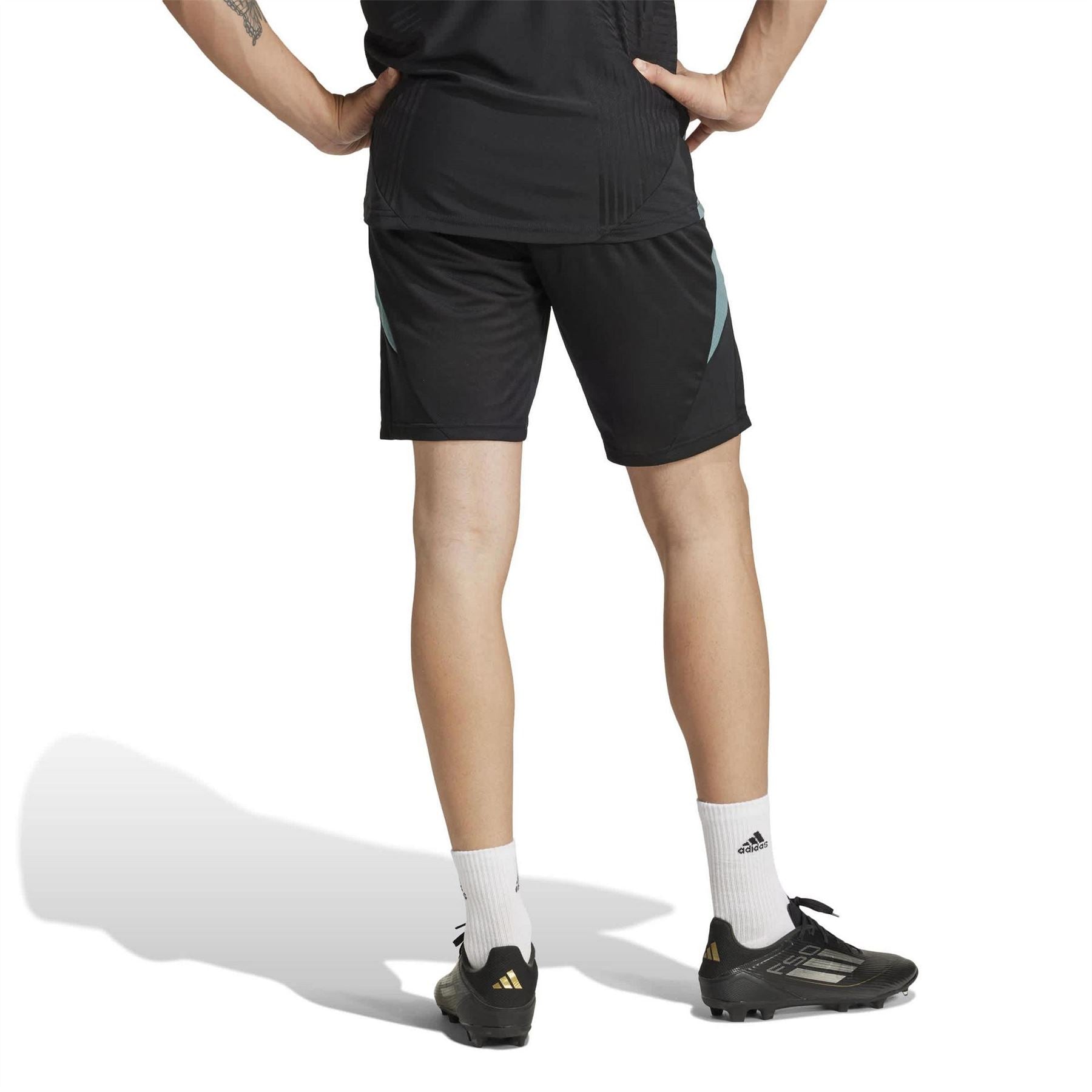 adidas adidas Bayern Munich Training Shorts 25 26
