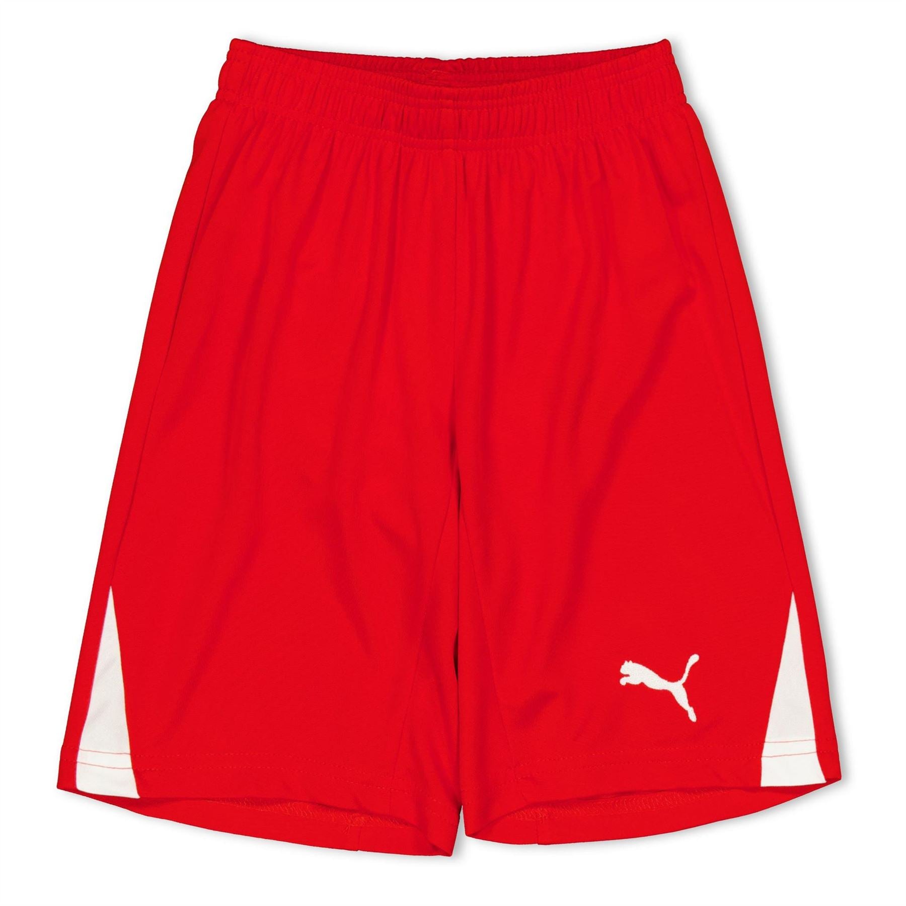 Puma Fb Team Shorts With Brief Infants