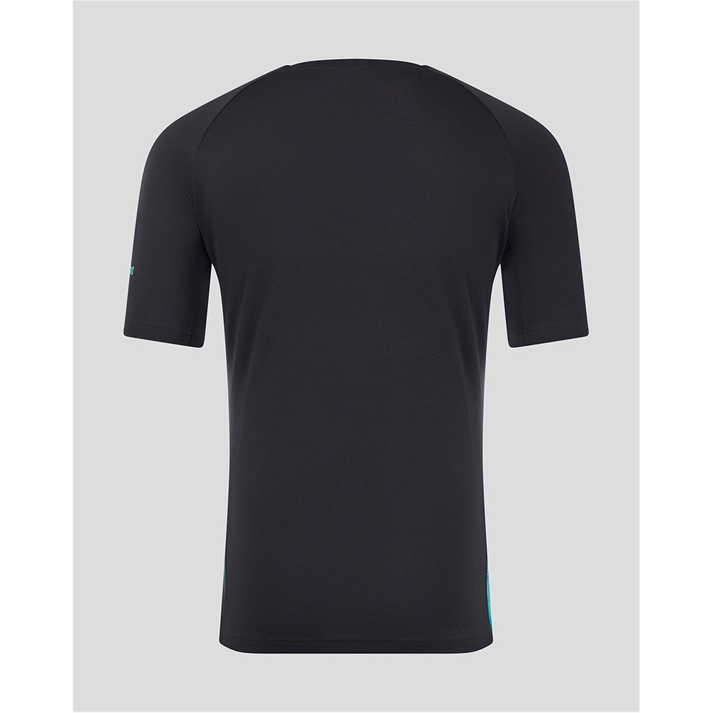 Castore Leinster Players T-Shirt Senior 25 26