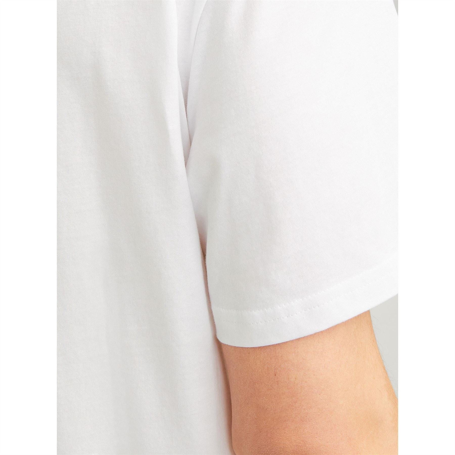 Jack and Jones Skull Regular Fit Crew Neck T-Shirt