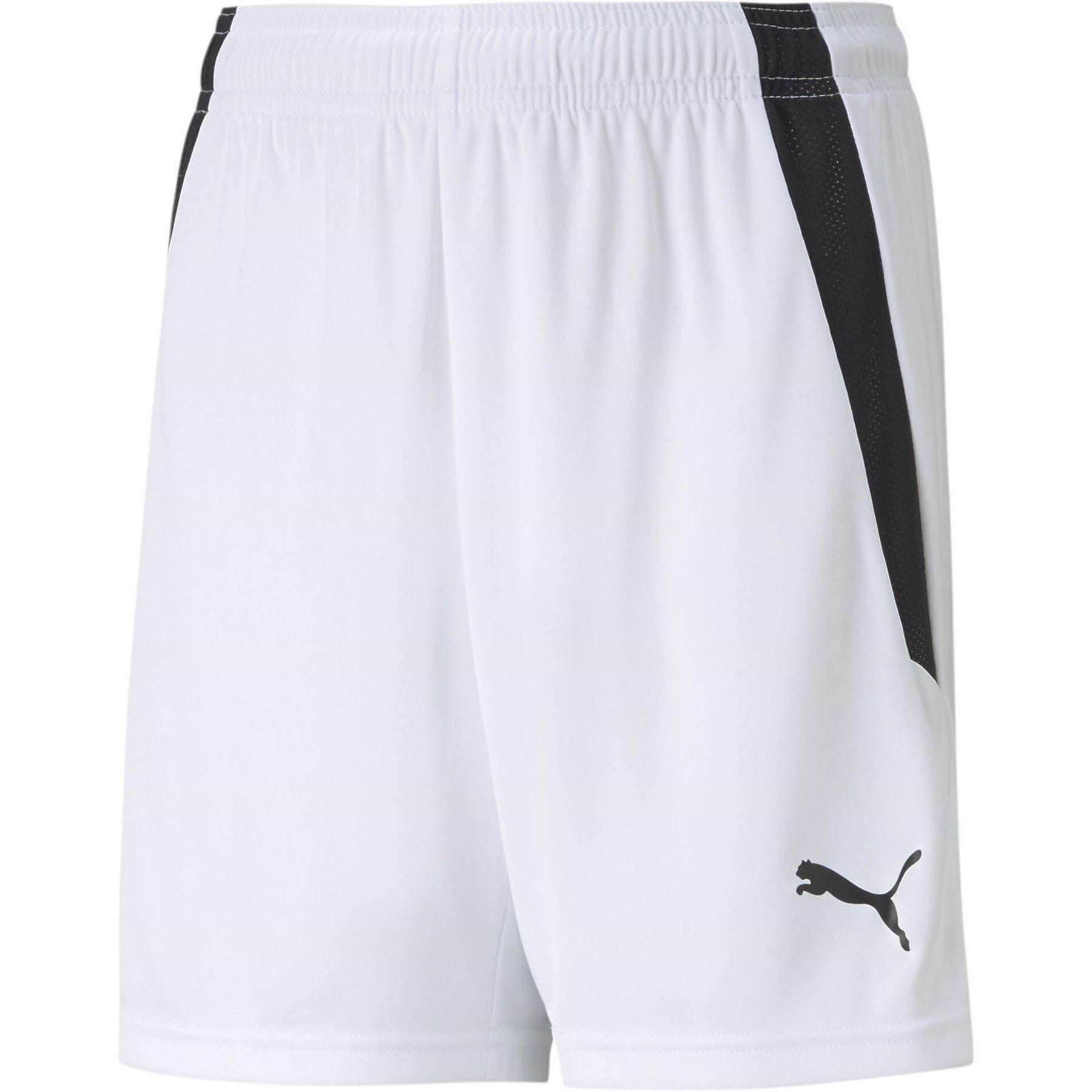 Puma Teamliga Shorts Jr Football Short Unisex Kids