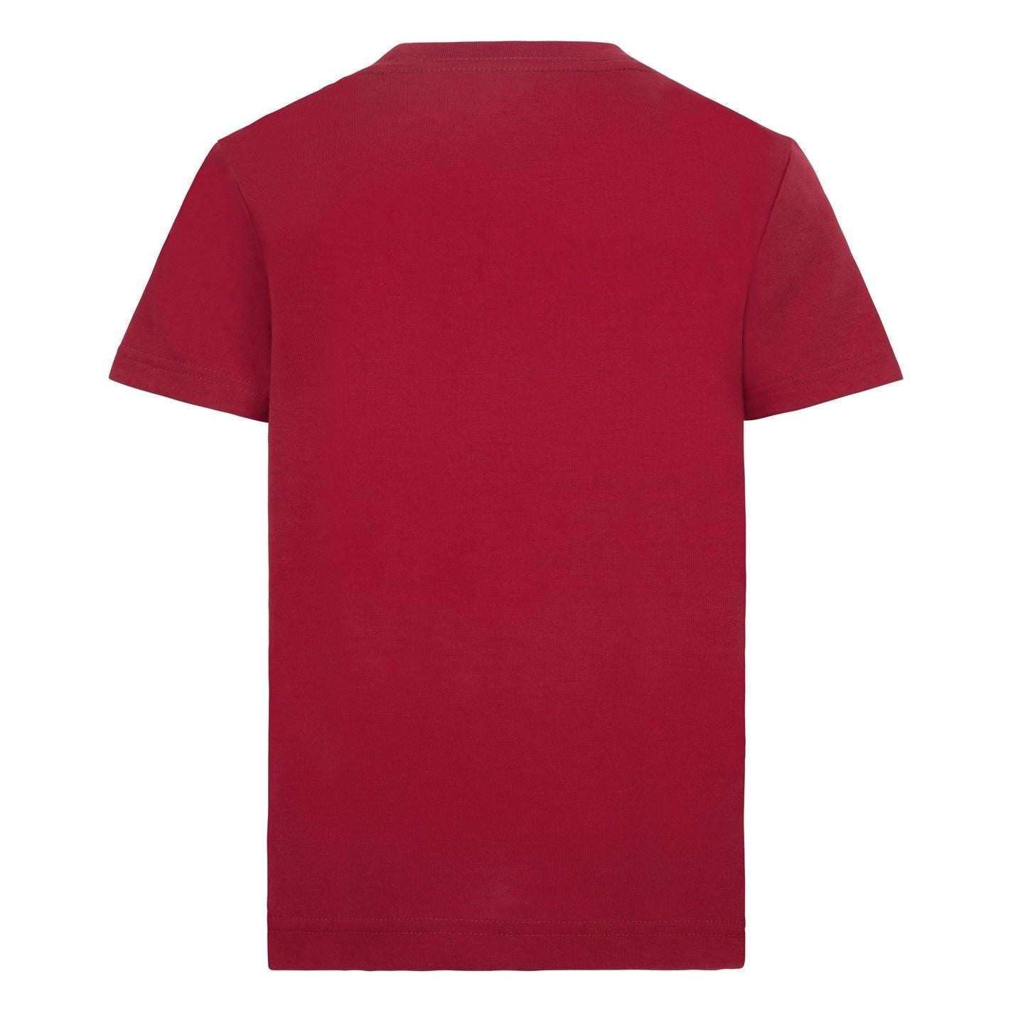 Air Jordan Jordan Big Logo T-Shirt Infant Boys