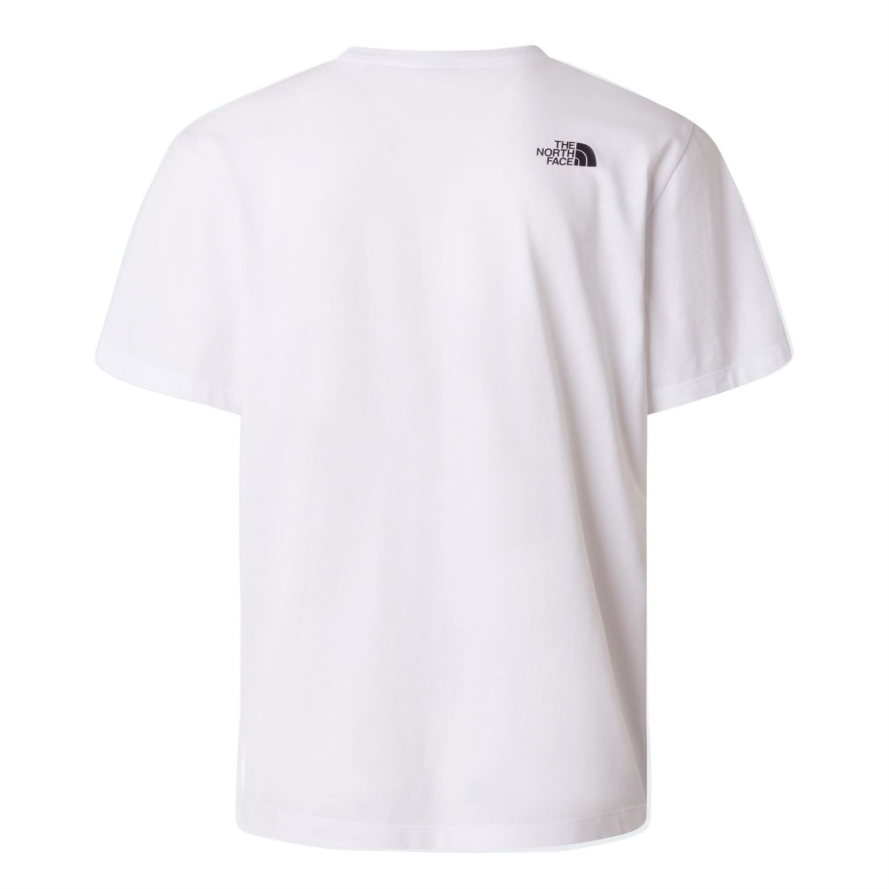 The North Face Mens Mountain Logo Tee