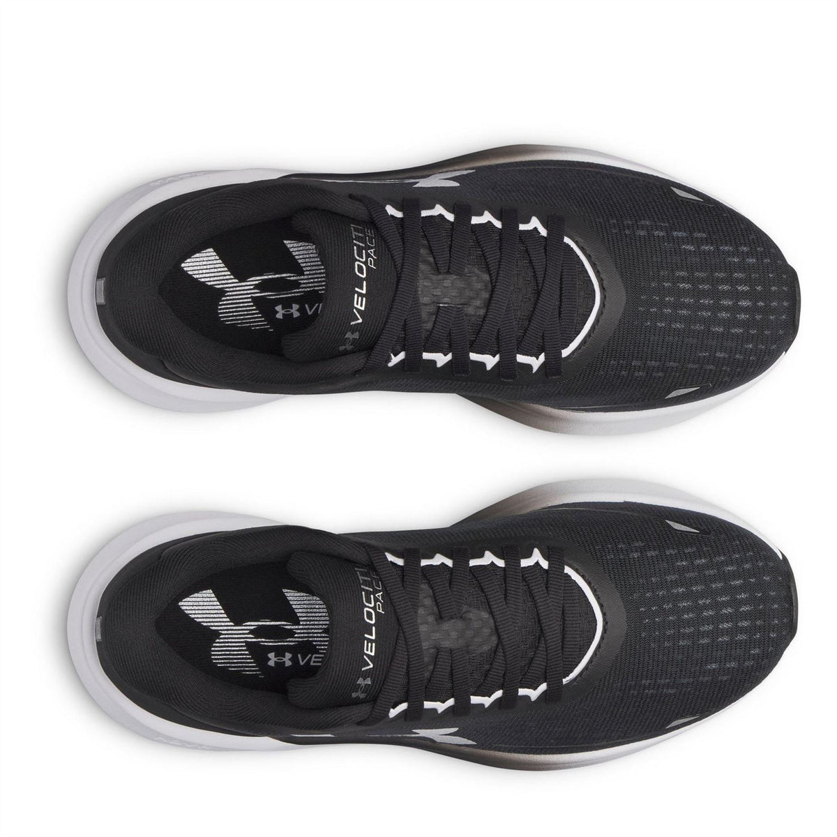 Under Armour W Velociti Pace
