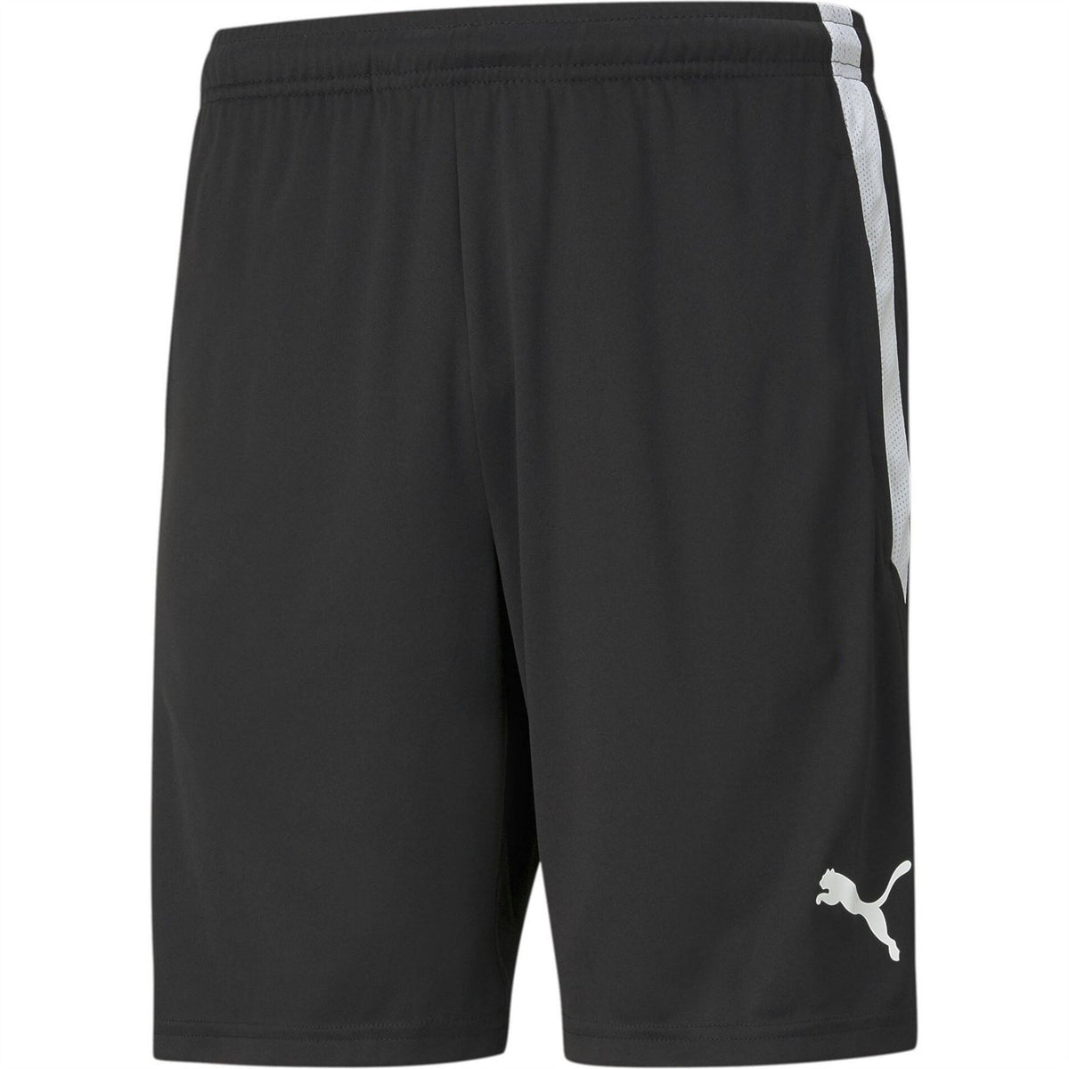 Puma Mens Teamliga Training Shorts Football Shorts