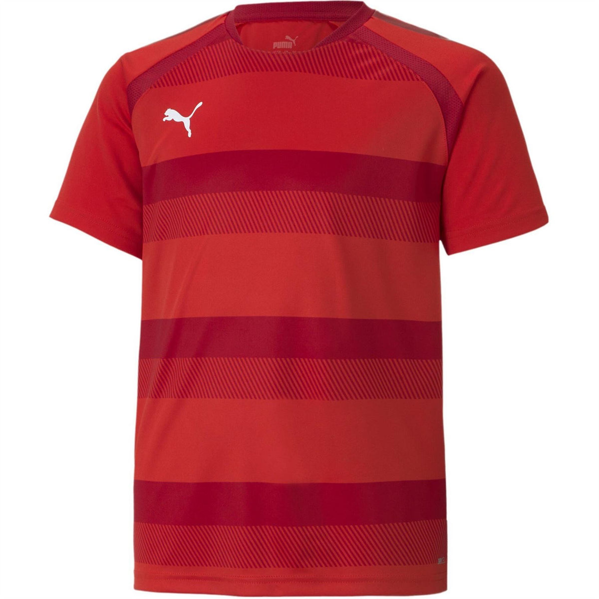 Puma Teamvision Jersey Jr T-Shirt Unisex Kids