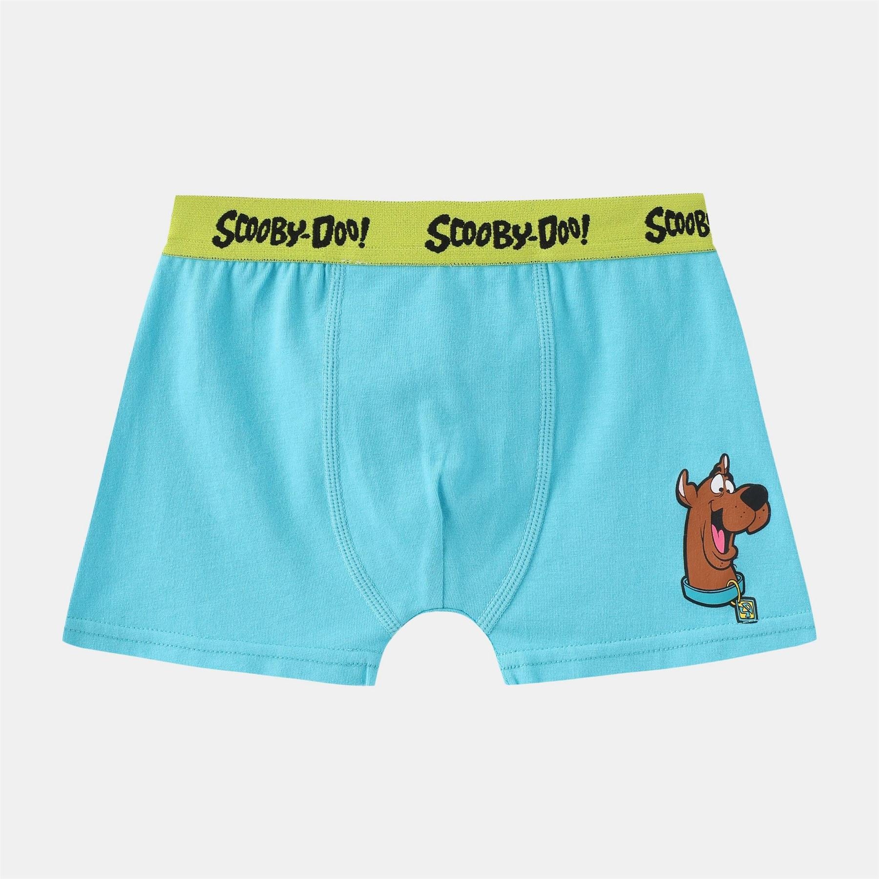 Character Boxer Briefs For Boys