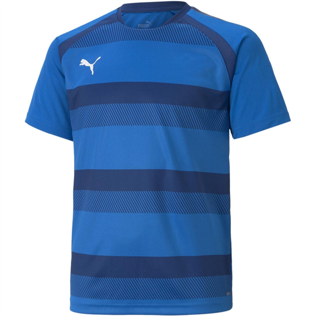 Puma Teamvision Jersey Jr T-Shirt Unisex Kids