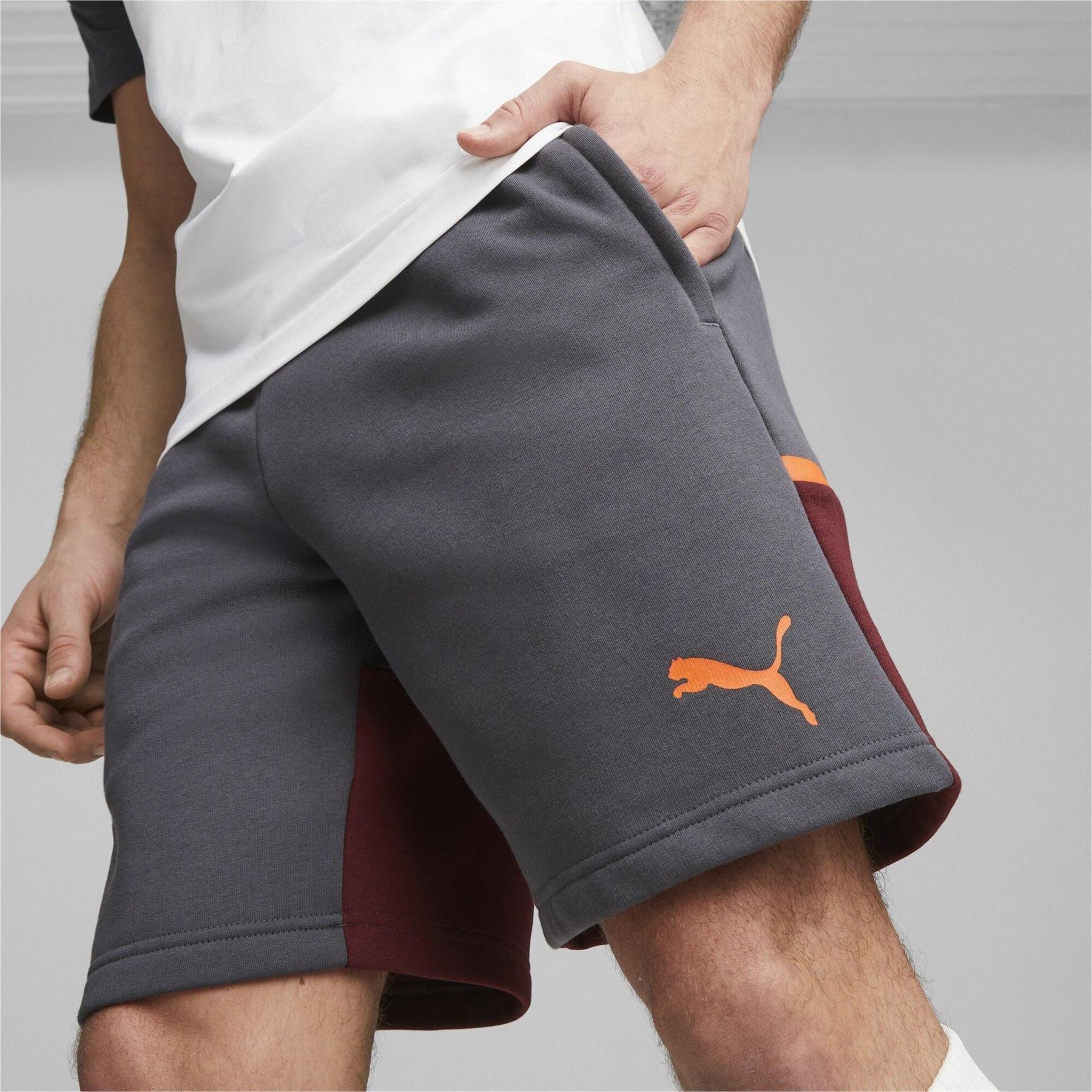 Puma Mens Casuals Shorts Football Shorts