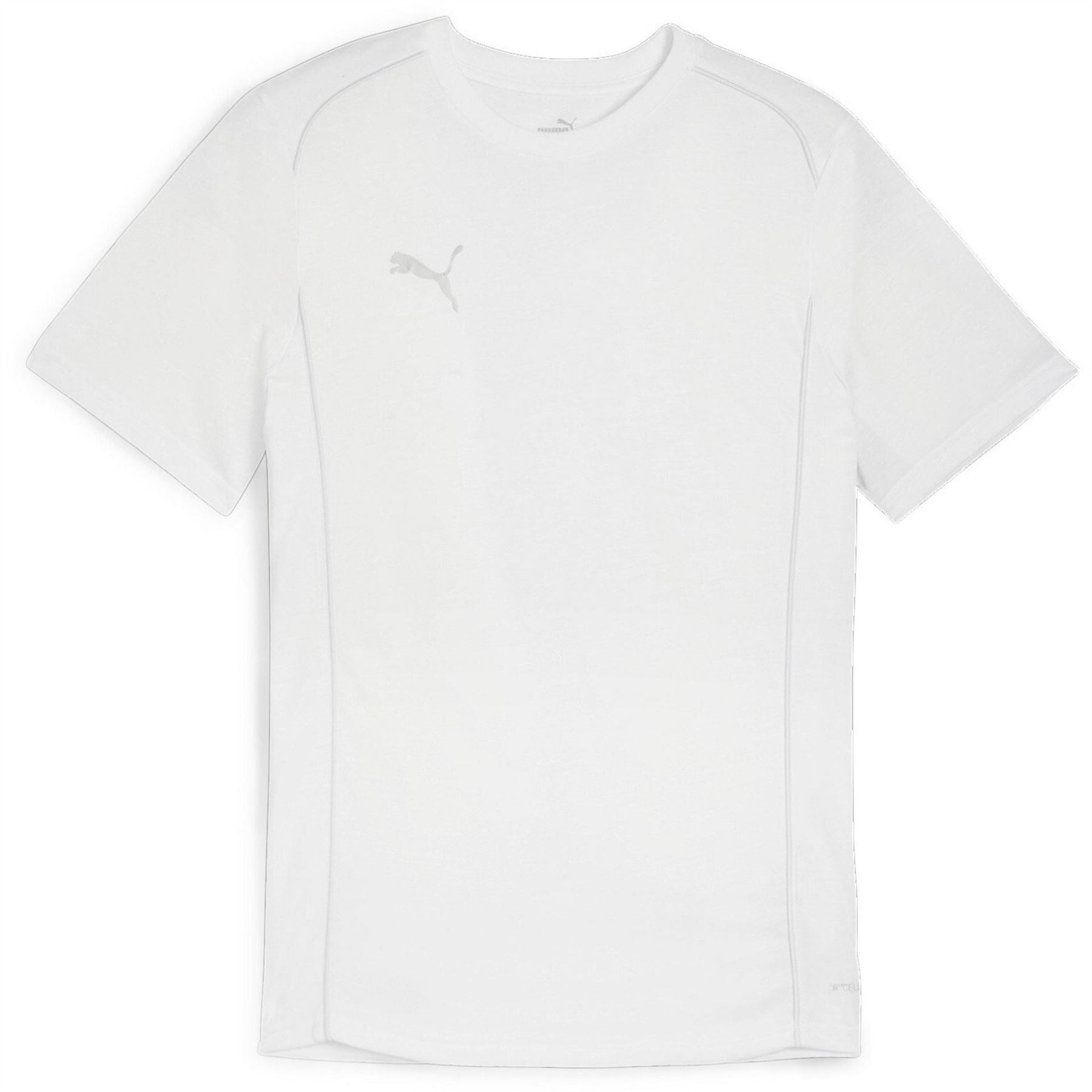 Puma Teamfinal Casuals Regular Fit T-Shirt