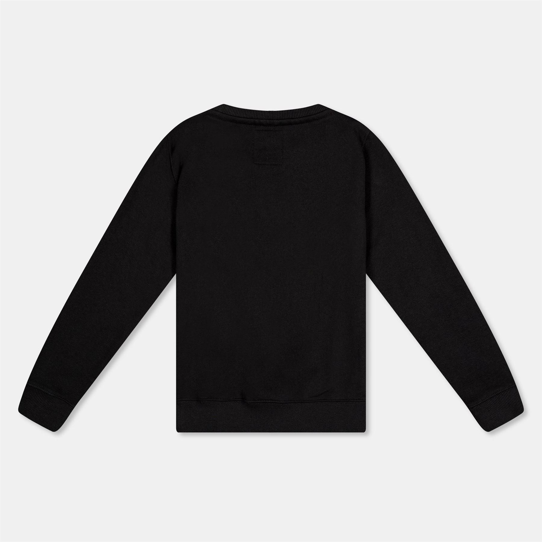 Alpha Industries Nasa Ref Crew Neck Sweater