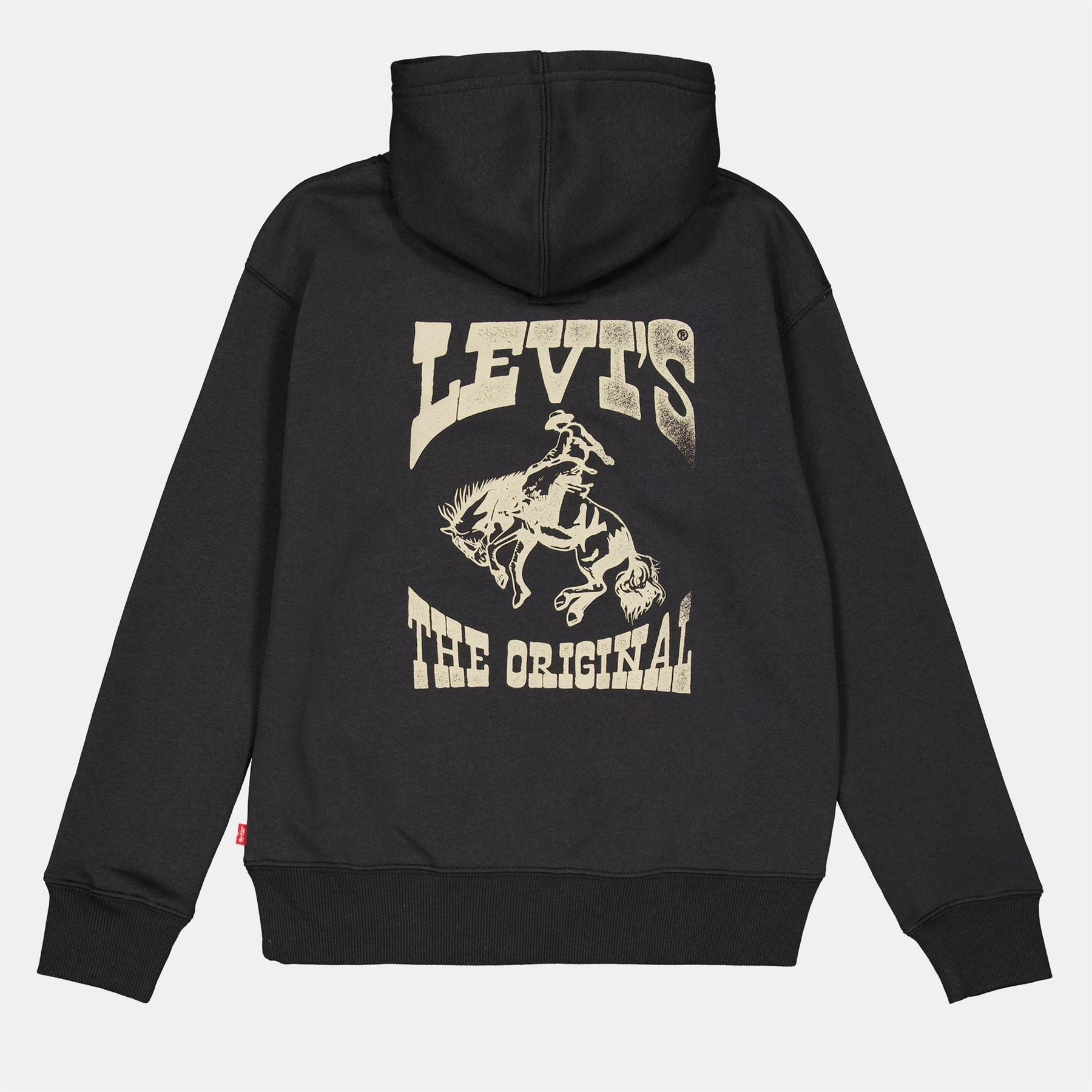 Levis Graphic Oth Jn54
