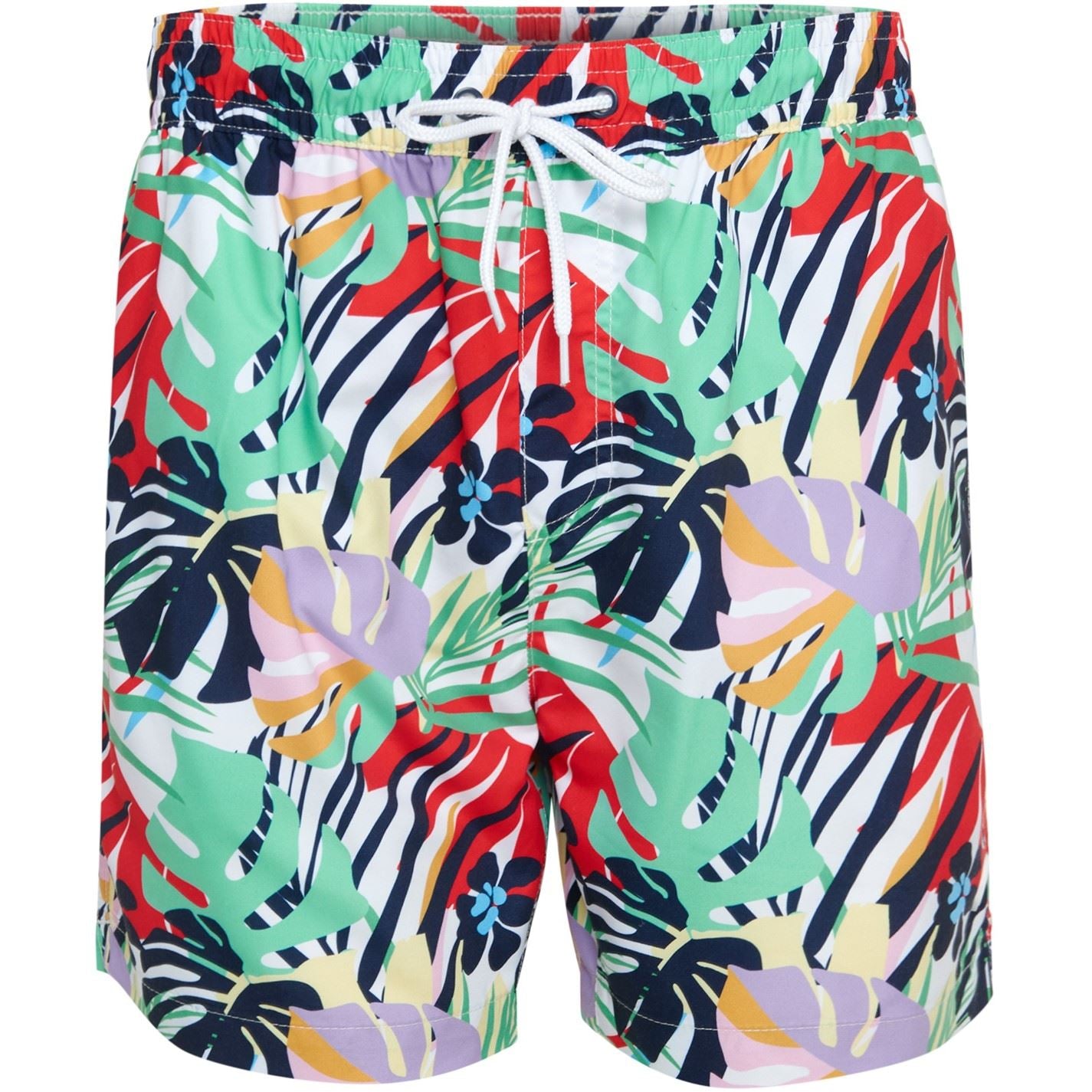 Threadbare Geometric Patterned Regular Fit Swim Short